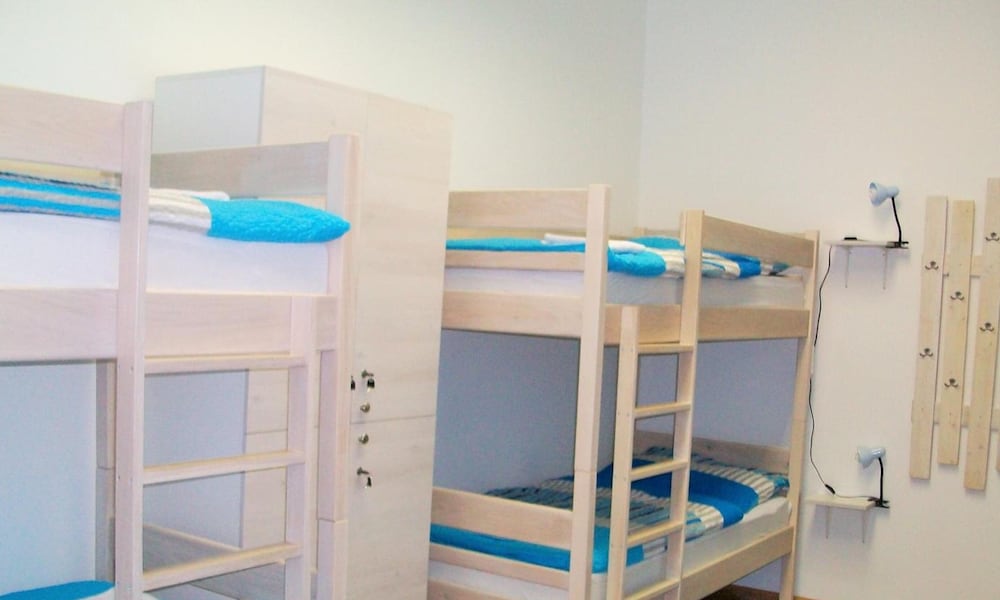 Фото Hostel Chameleon