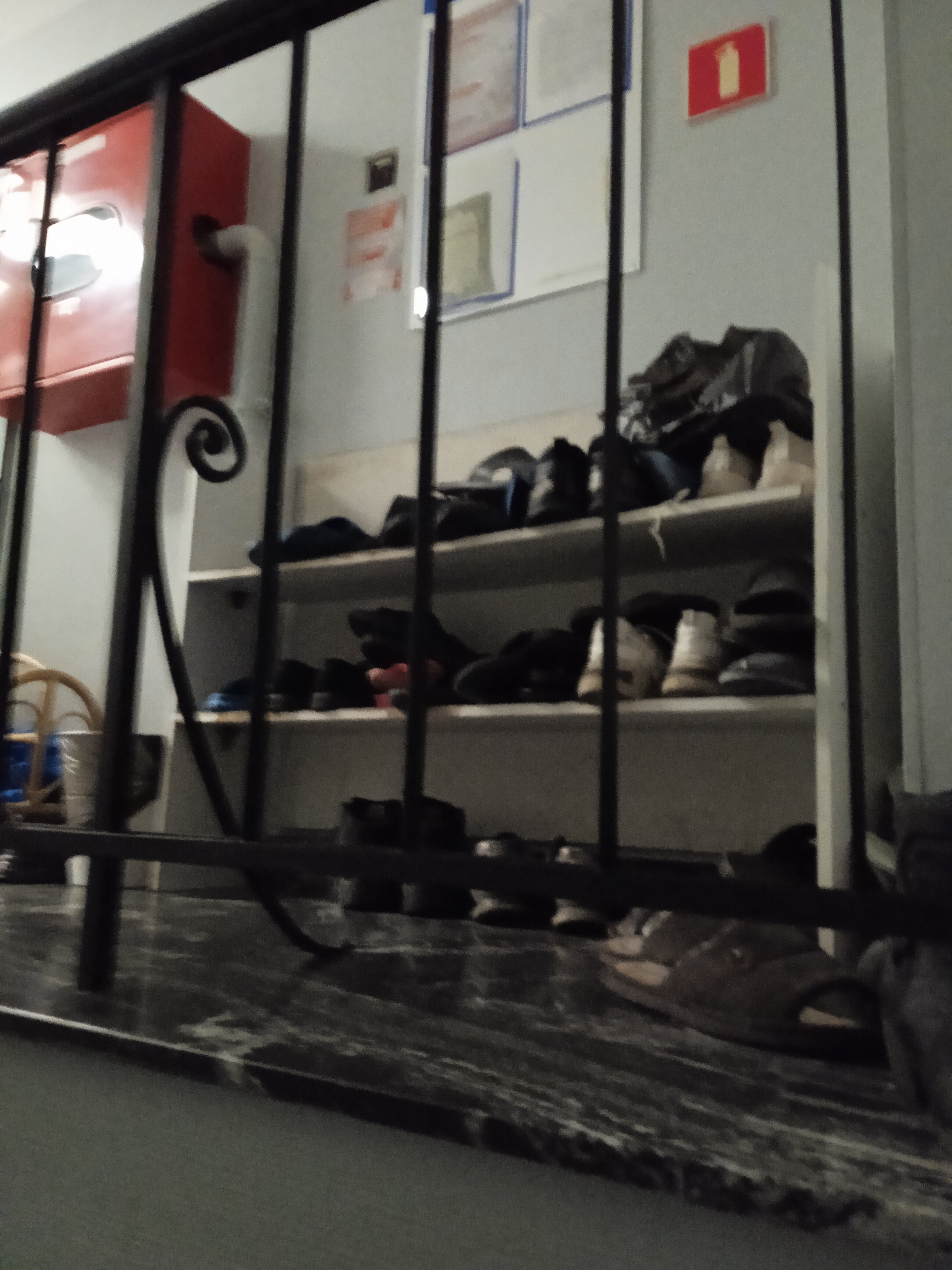 Фото Петя и Волк