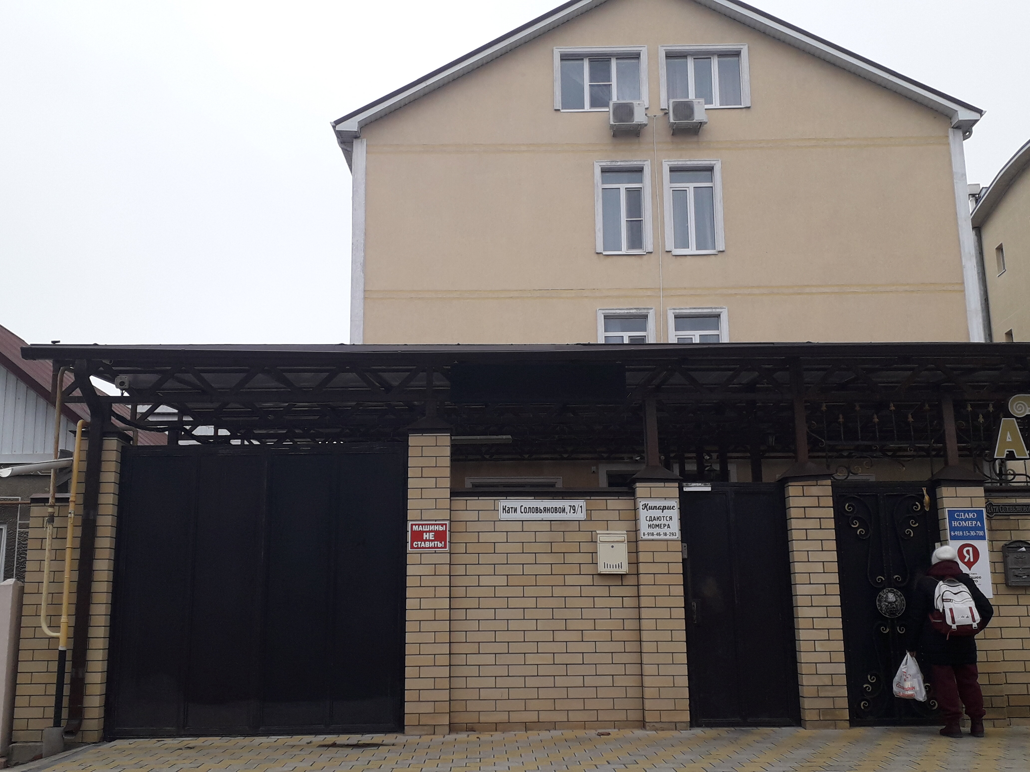 Фото Кипарис