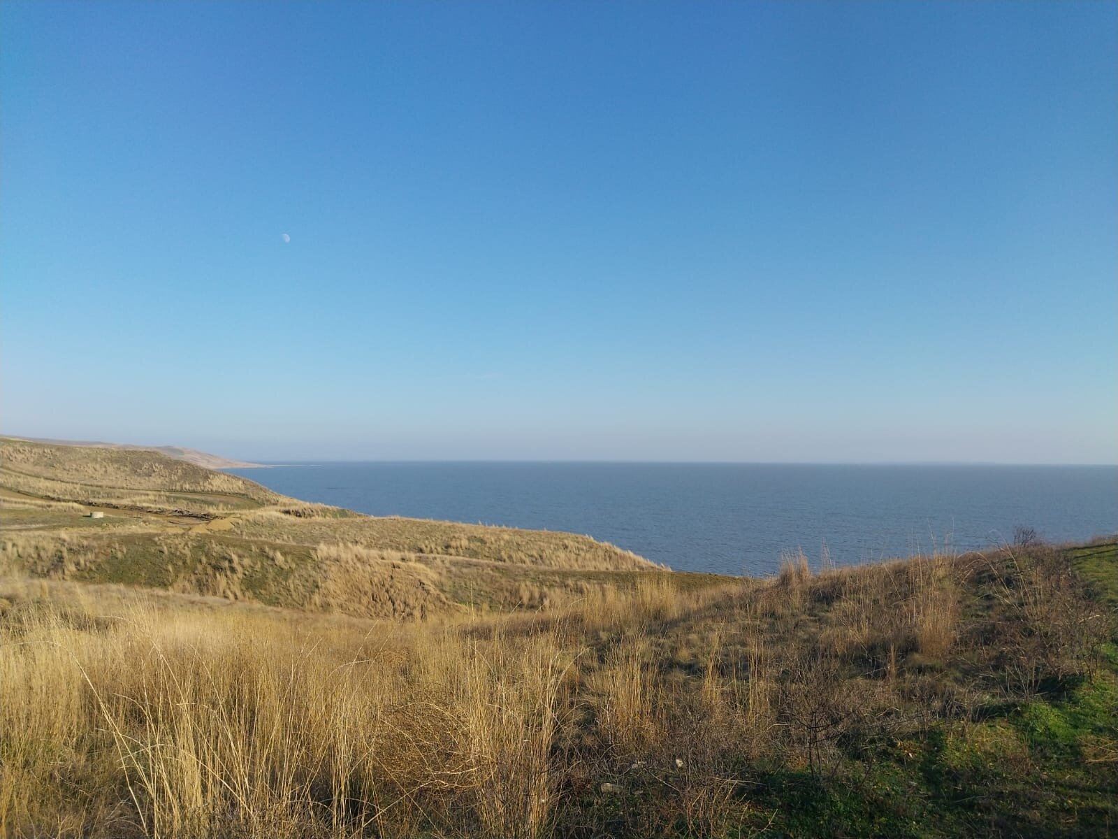 Фото Лазурный