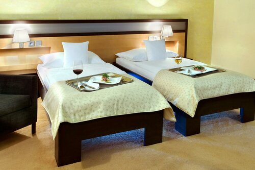 Гостиница Hotel Dubna Skala в Жилине