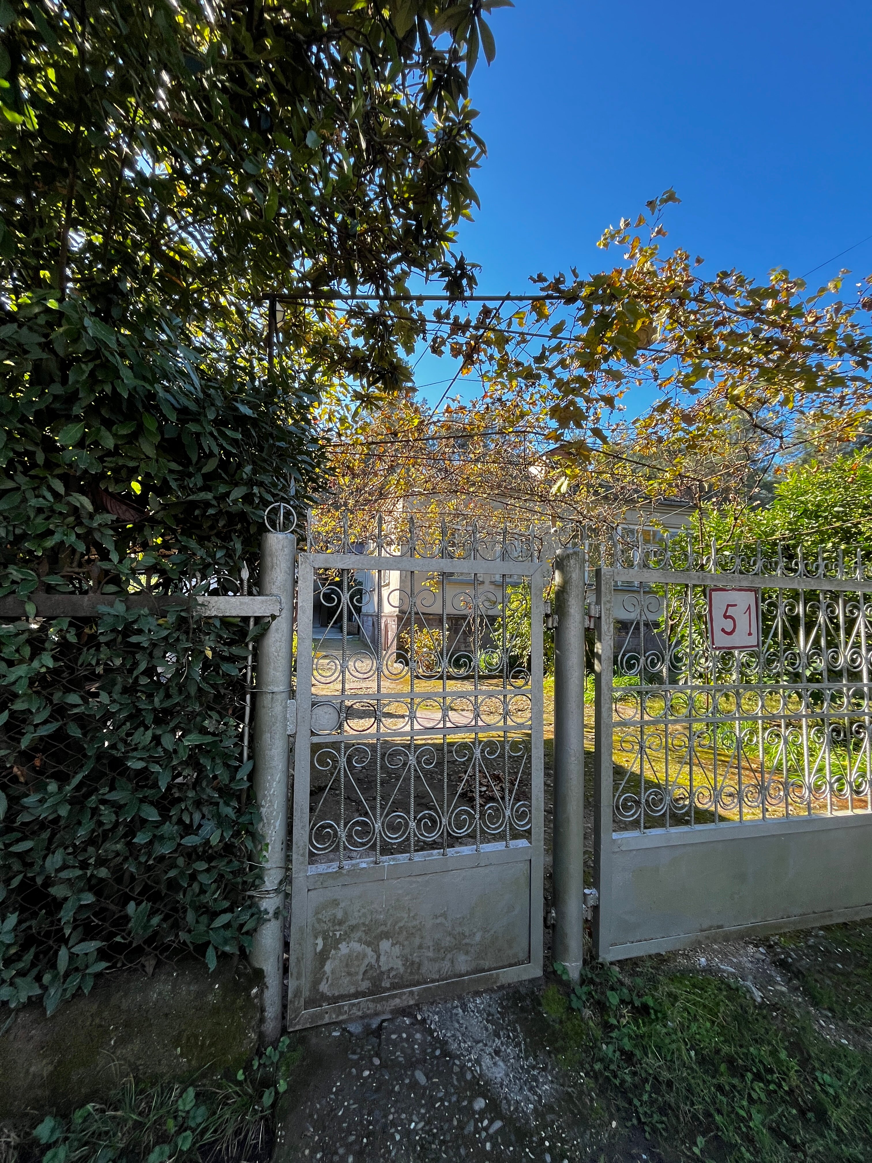 Фото Сосновый рай