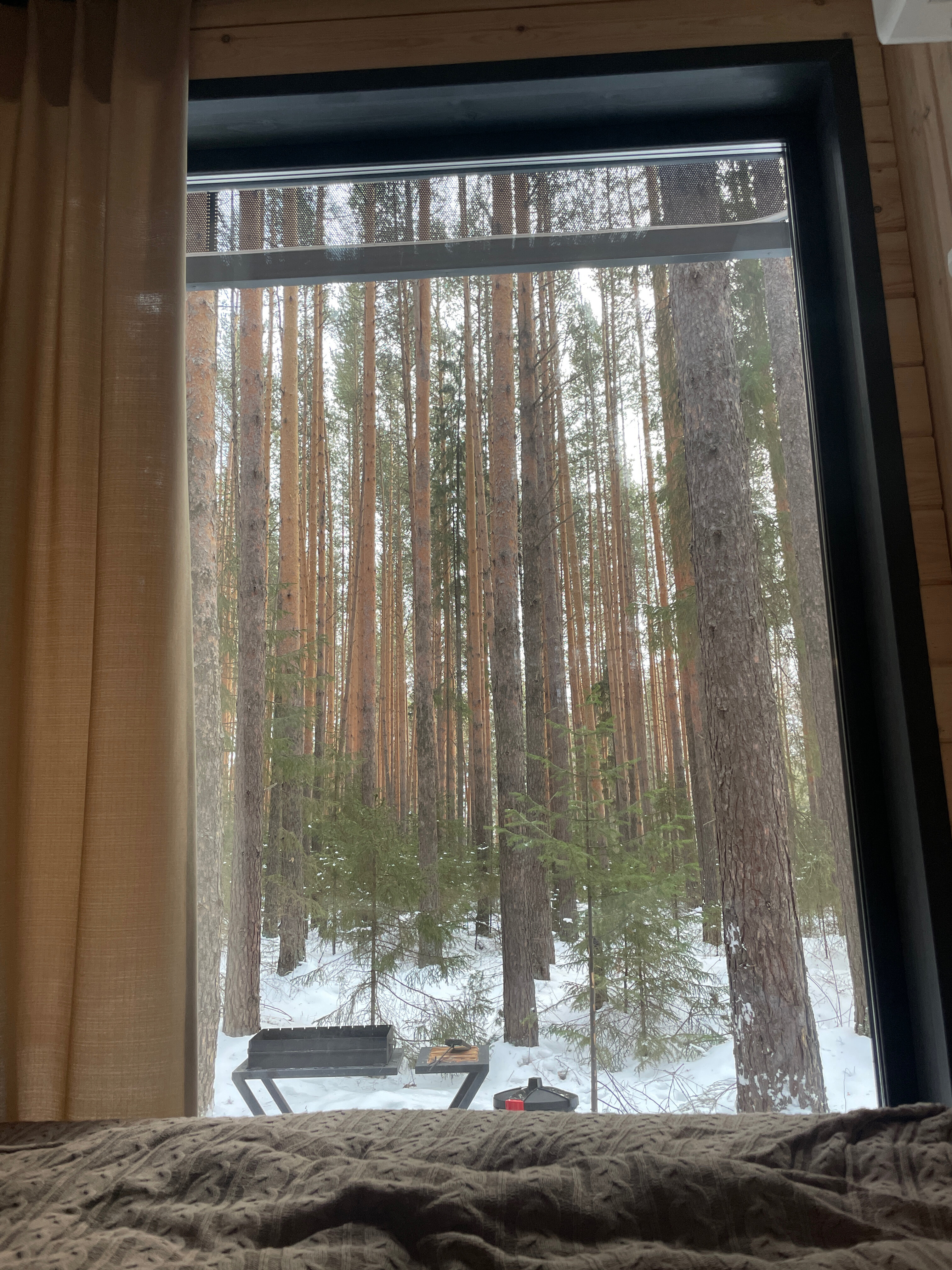 Фото Липкиглэмп