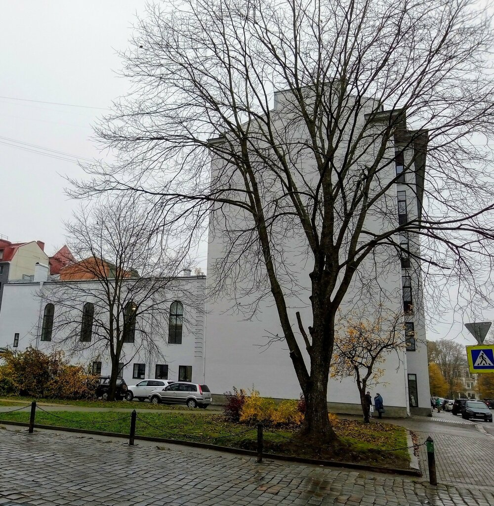 Landmark, attraction Дом прихода Кафедрального собора, Vyborg, photo