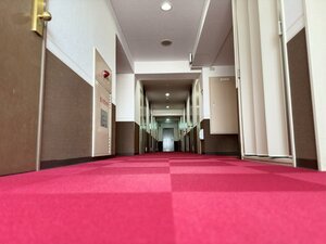 Гостиница Hotel Alpha Inn Akita