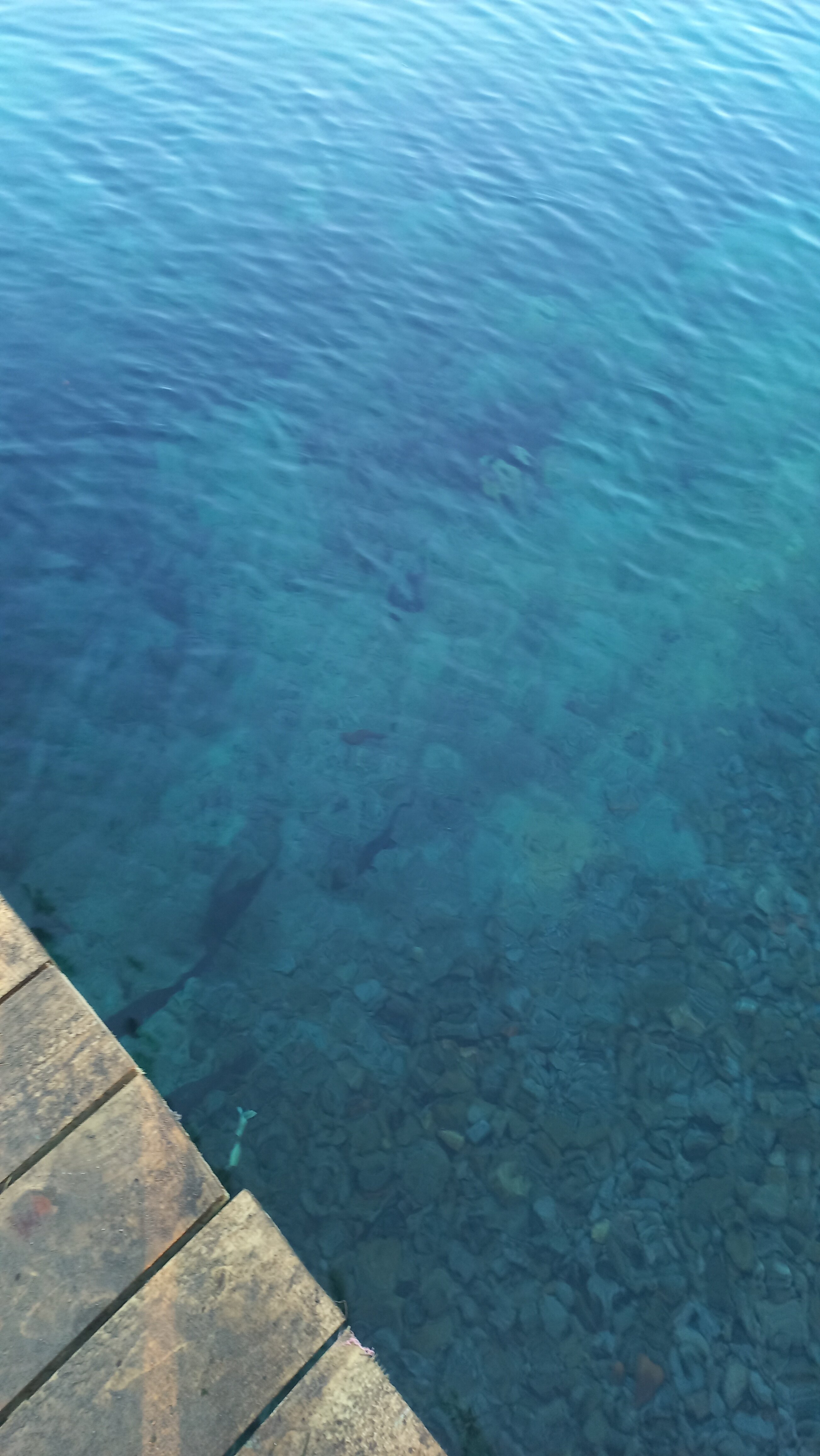 Фото Царская рыбалка