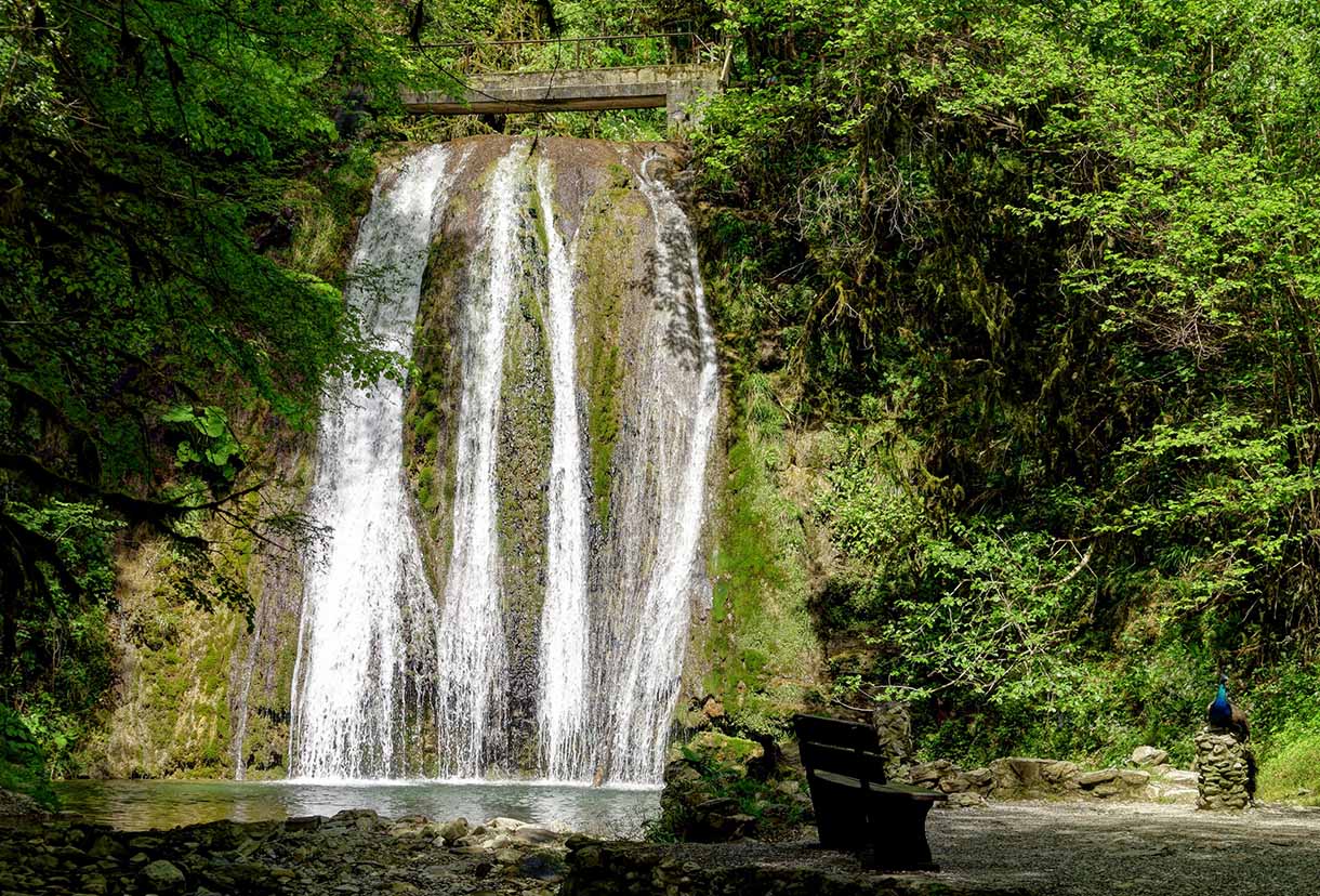 Фото Центр семейного отдыха 7я Deluxe