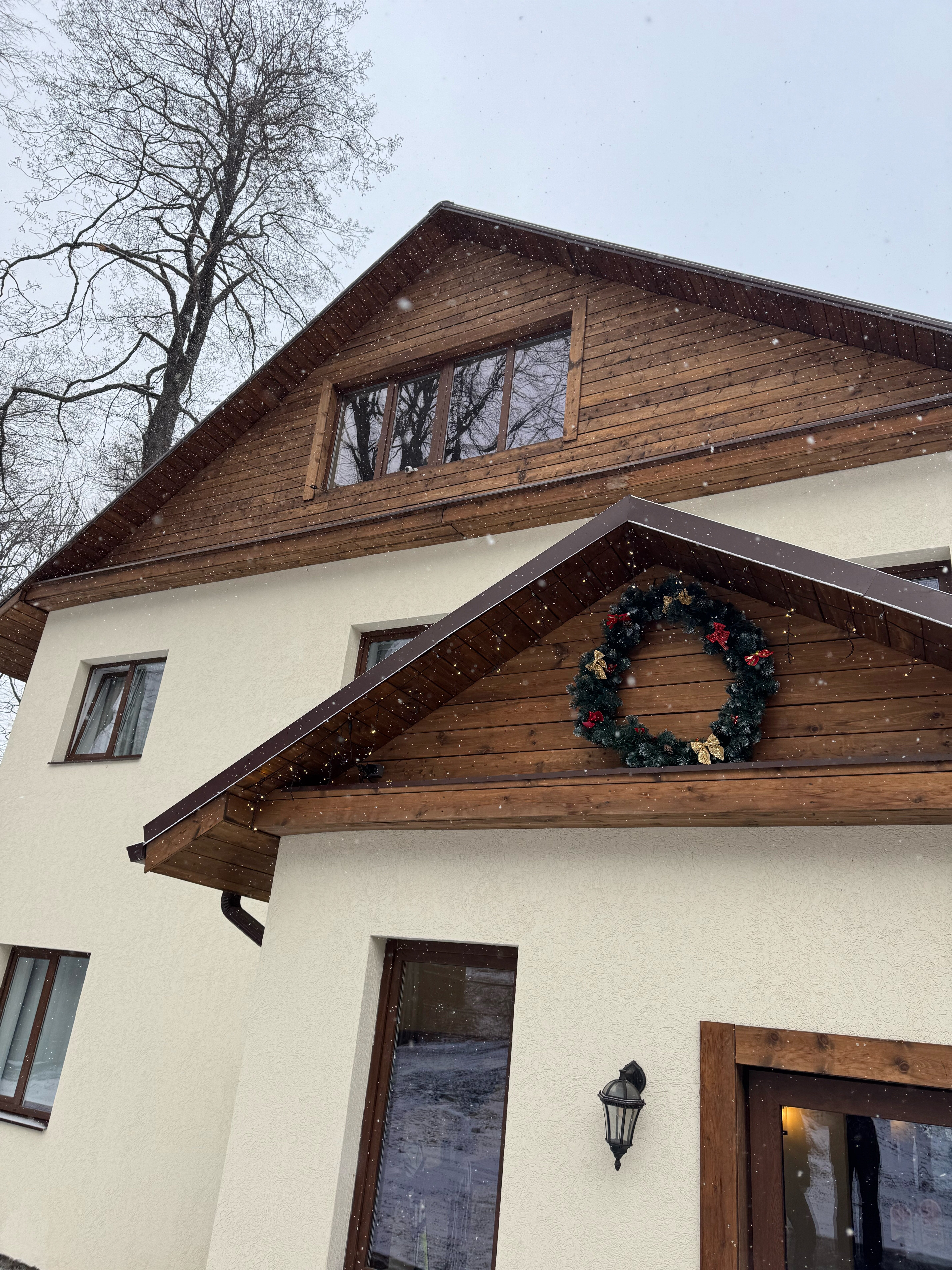 Фото Ягодный тис