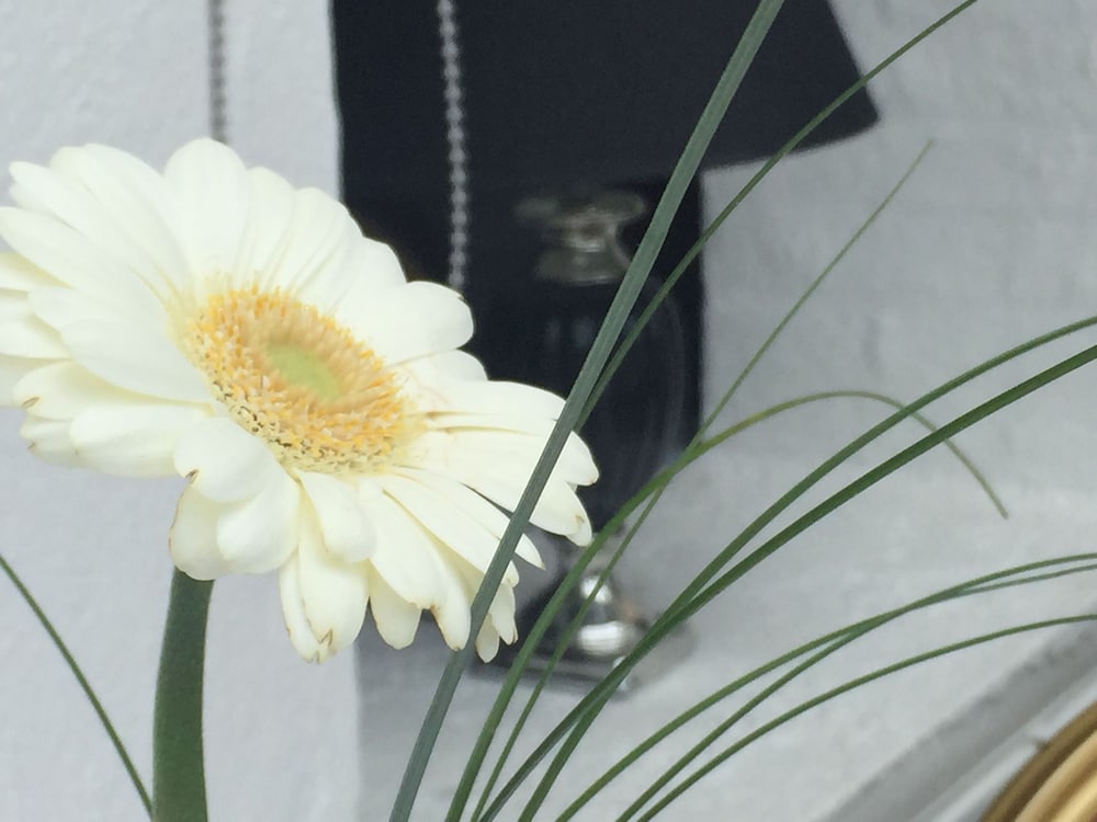 Фото Marcussens Hotel