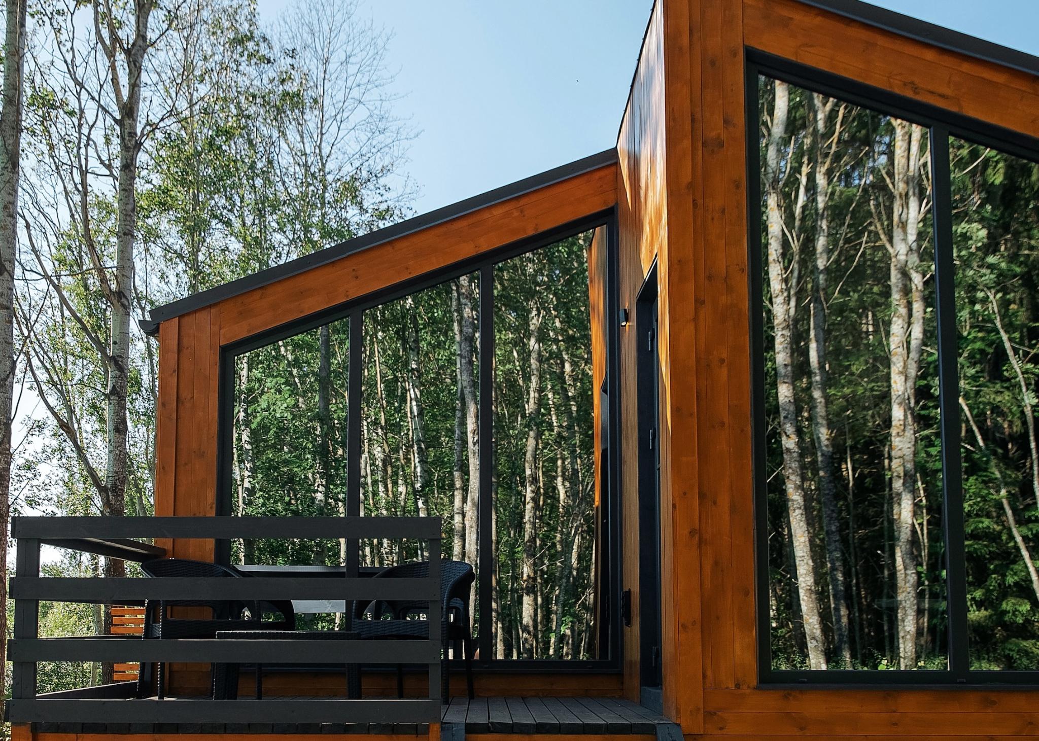 Фото Ёлки Чилл