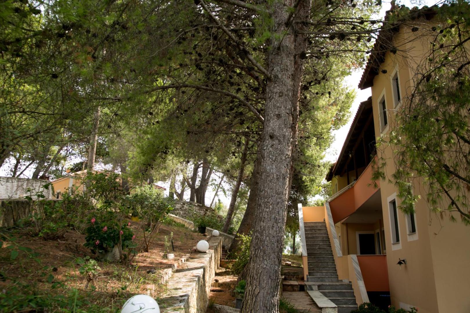 Фото Almyros Studios & Apartments