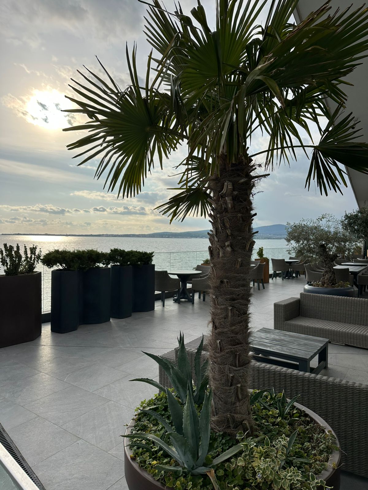 Фото Малахит Плюс