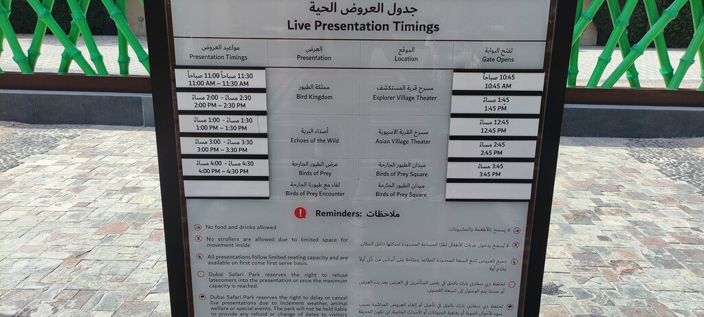 Travel agency Parus Travels & Tourism, company, Ajman, photo