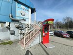 Stinger (Pobedy Street, 38/27), gambling and entertainment equipment