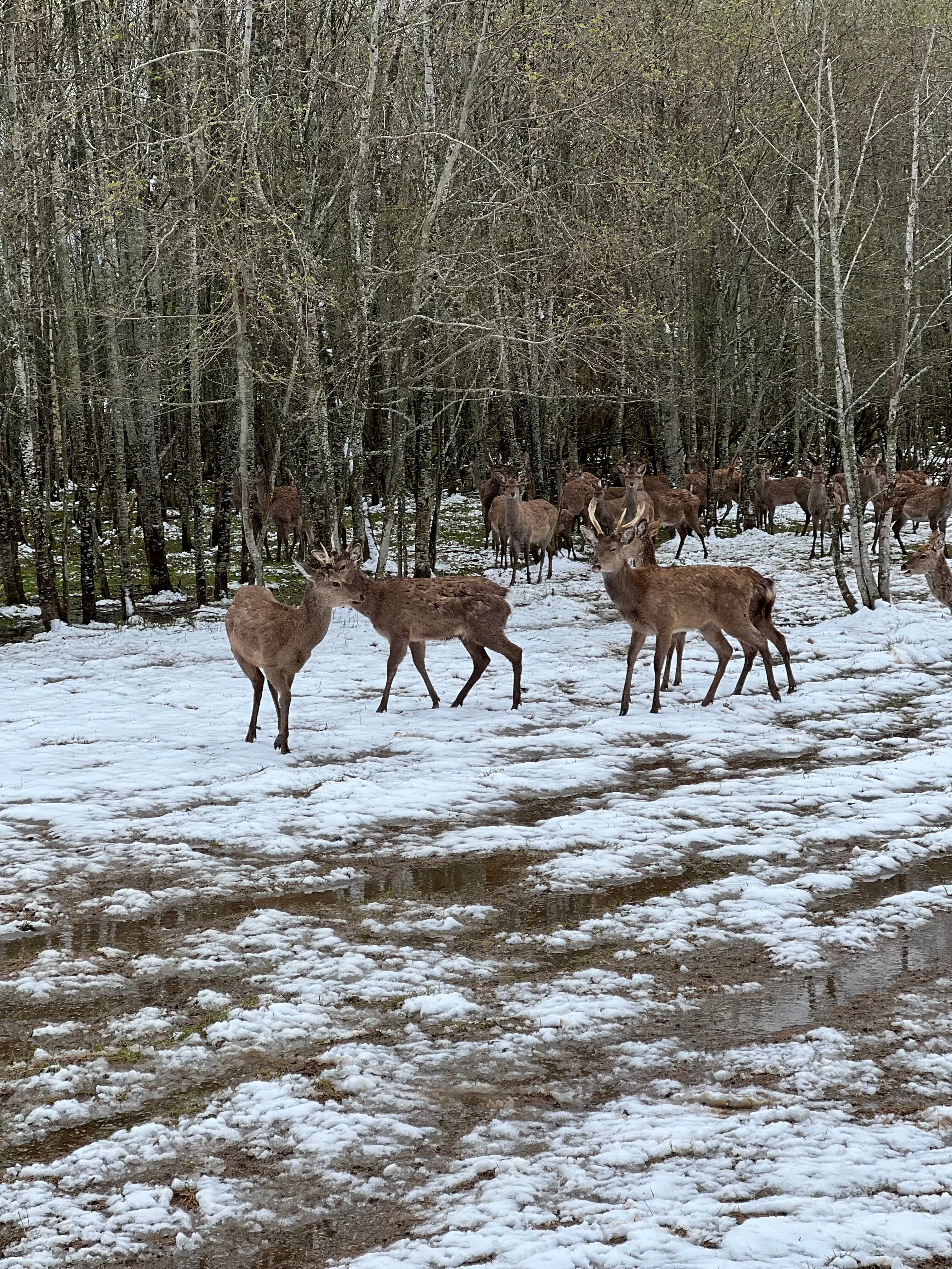 Фото Давыдовское
