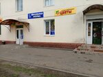 Искусственные цветы (prospekt Lenina, 2) ، النباتات والزهور الاصطناعية