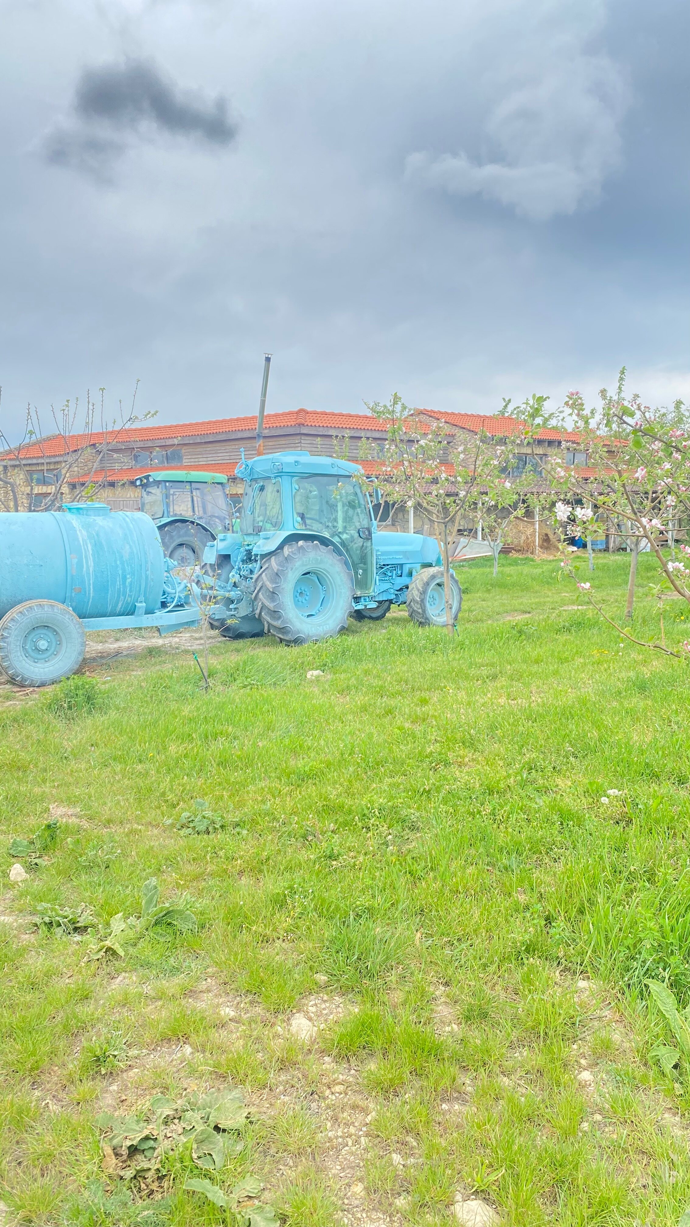 Фото Шато Андре