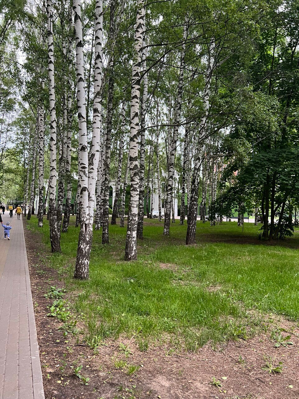 Фото Апартаменты возле Парка Пушкина