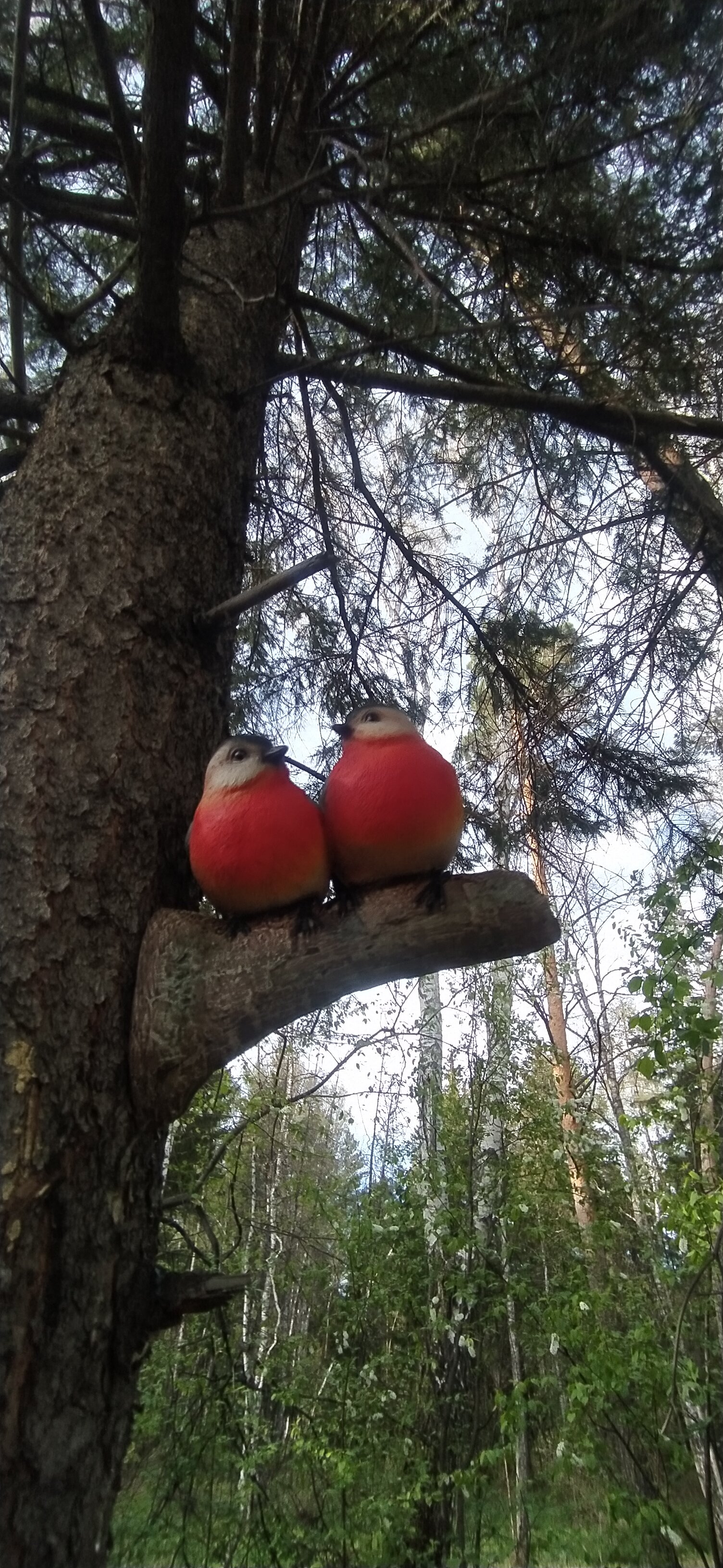 Фото Снегири Парк