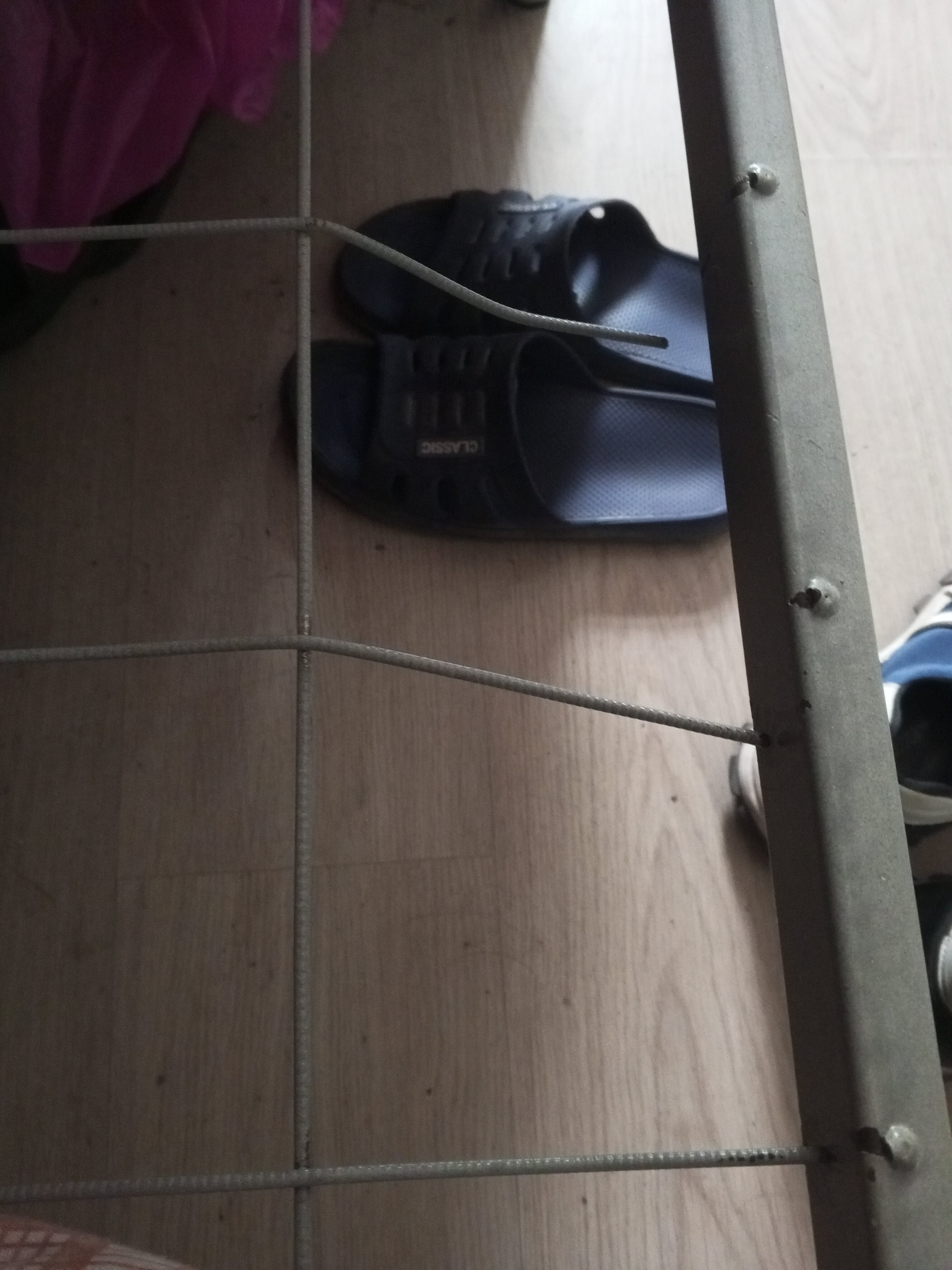 Фото Все медведи