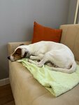 Wildberries (Georgievskiy Avenue, 33к5), punto de entrega