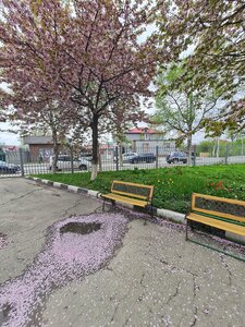 Хостел Хостел123