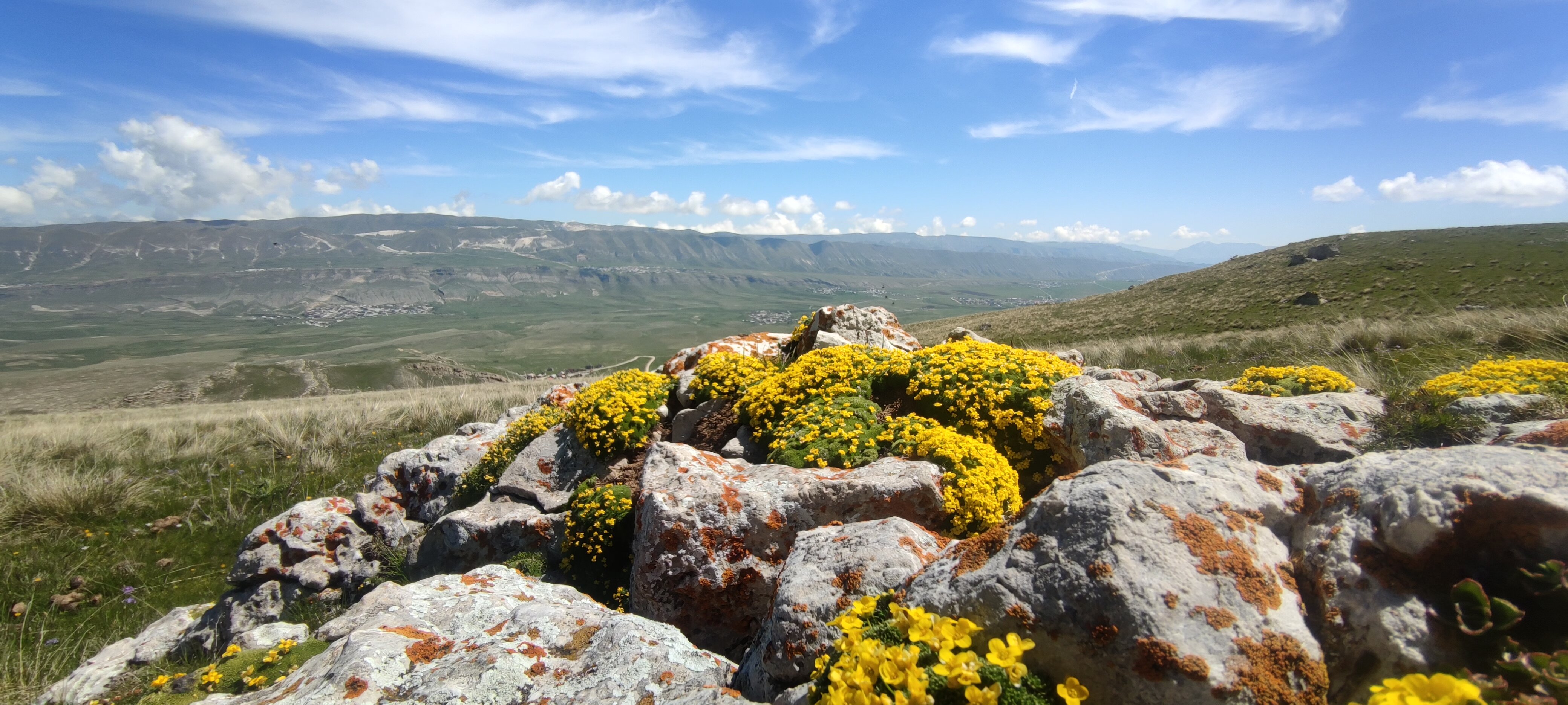 Фото Каньон