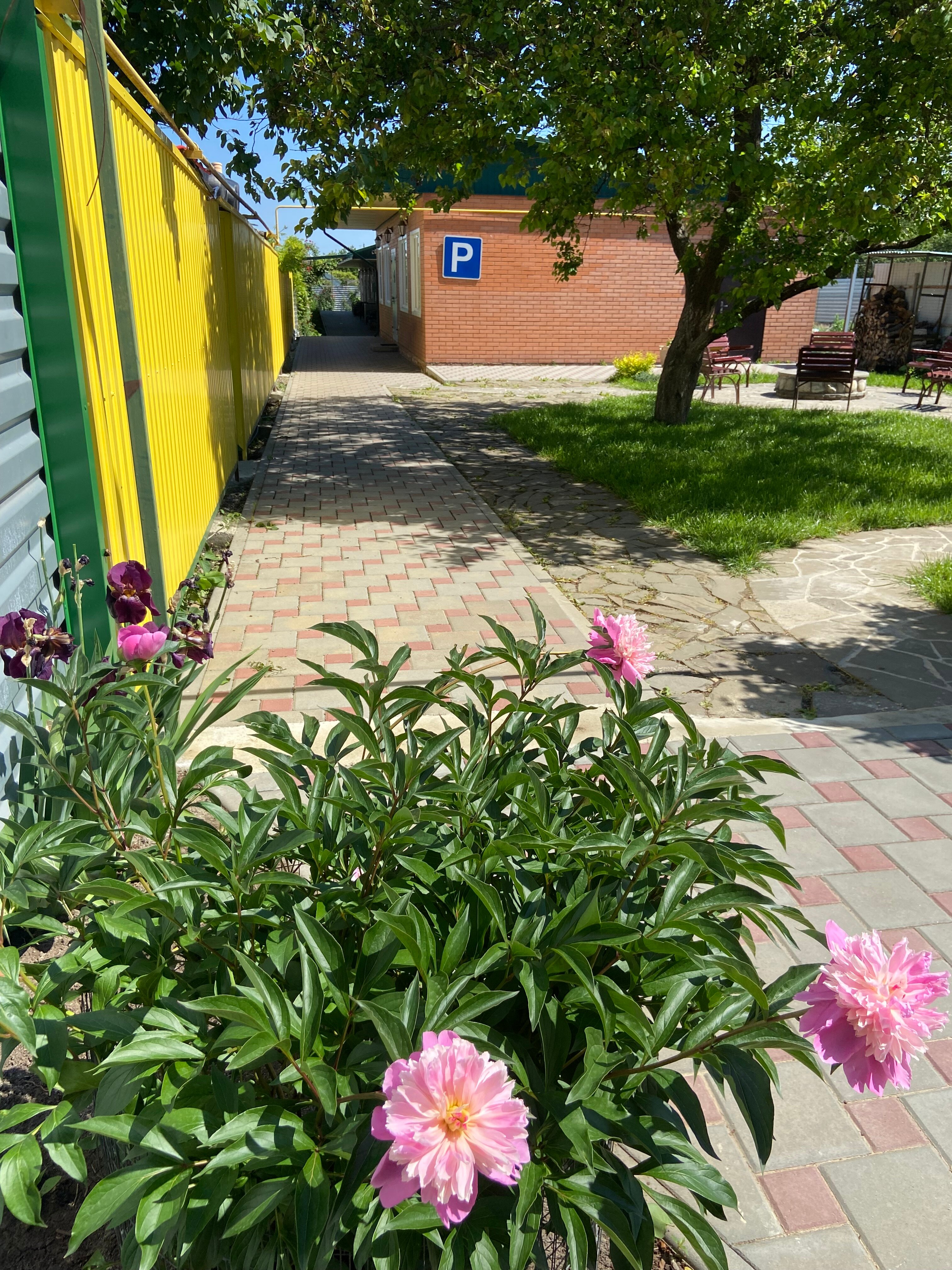 Фото Уютный дворик