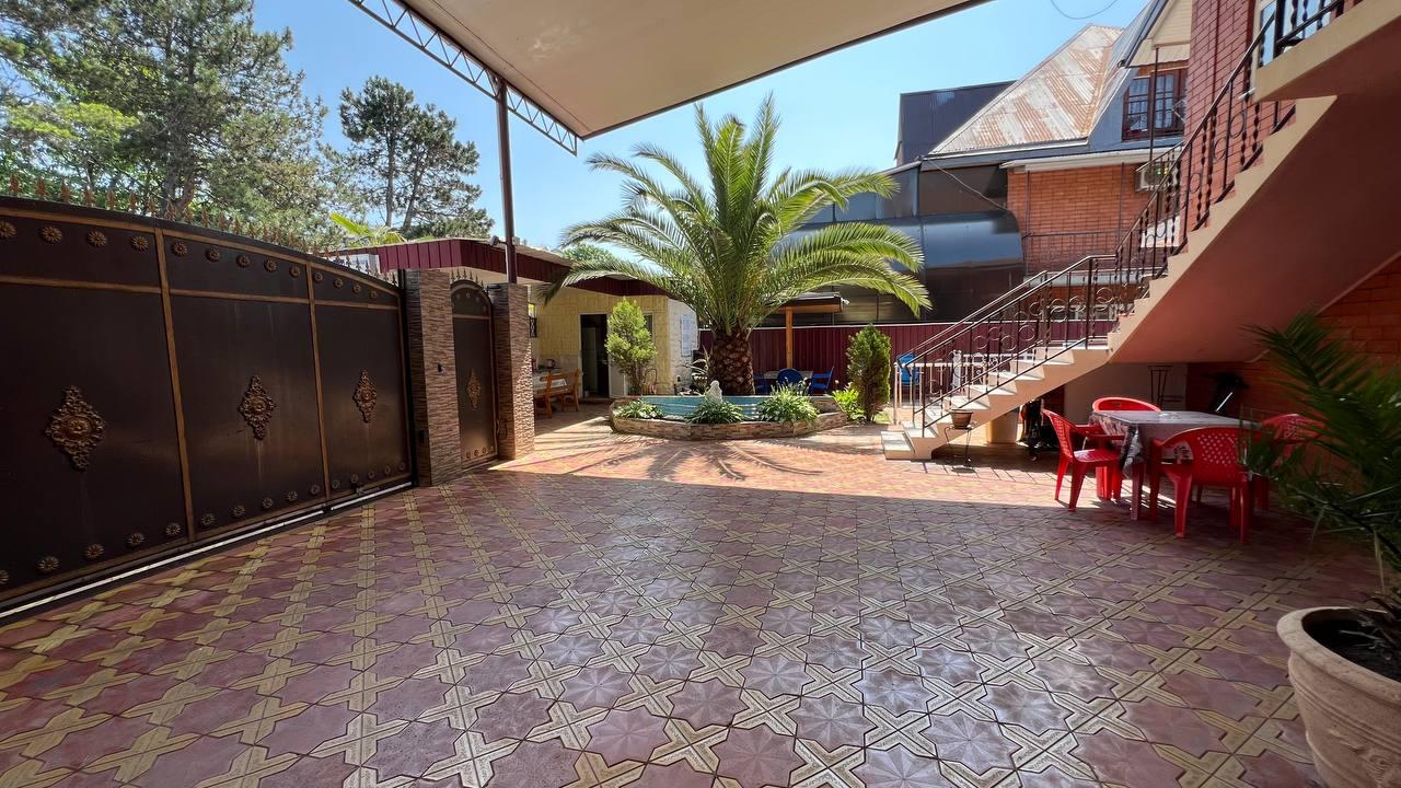 Фото Камелия