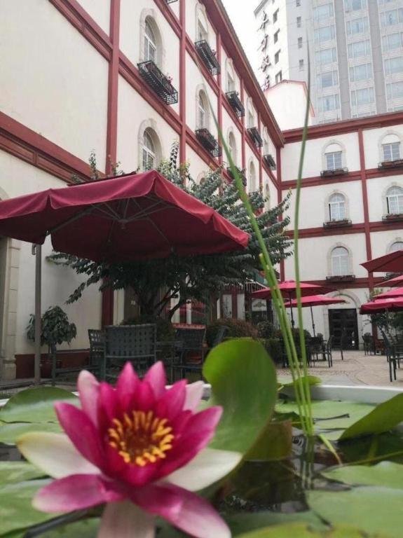 Фото Dong Fang Hotel Beijing