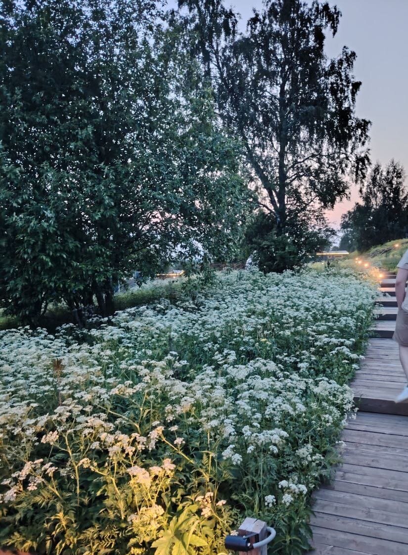 Фото Еремичи