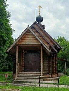 Церковь Матроны Московской (Tula Region, Schyokinskiy District, selskoye poseleniye Yasnopolyanskoye, posyolok Golovenkovskiy), orthodox church