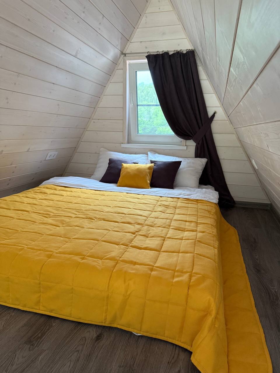 Фото Звёзды леса