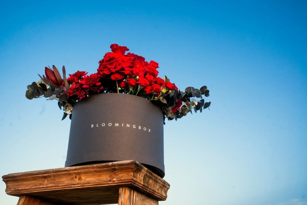 Flower shop Blooming Box, Dubai, photo