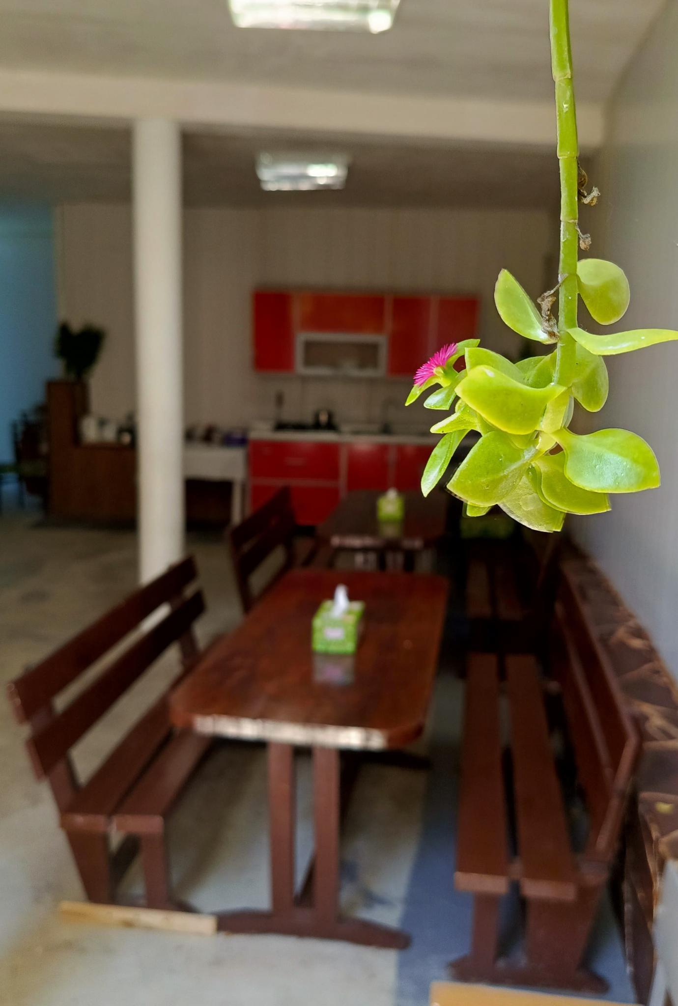 Фото Под пальмой