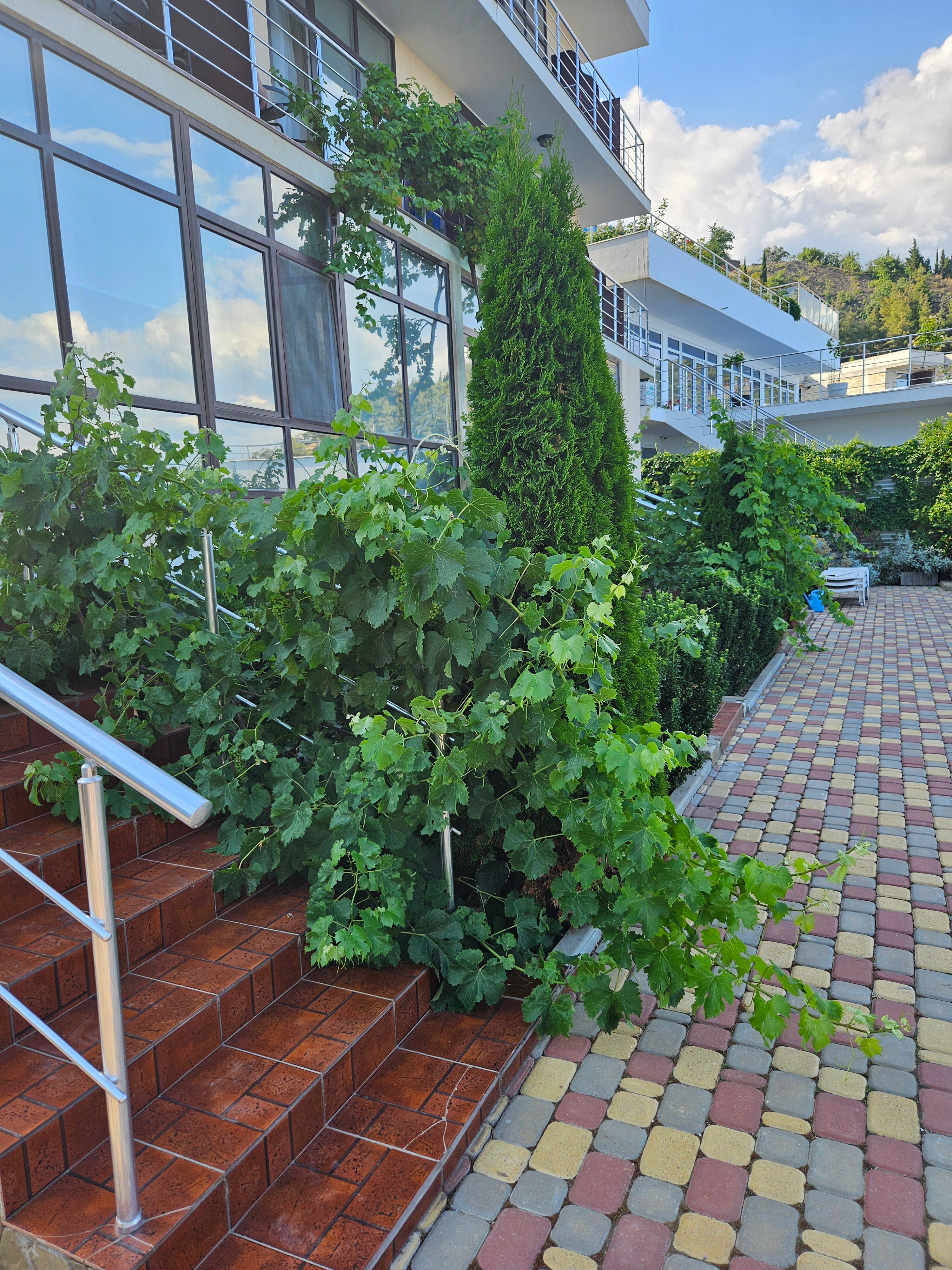 Фото Лукоморье