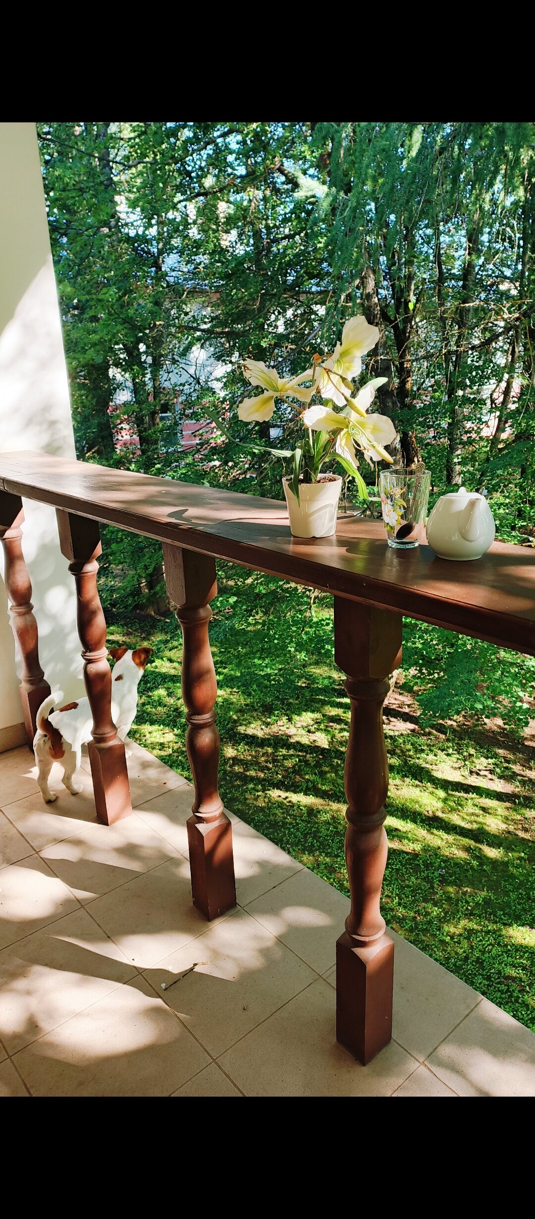 Фото Хит Парк