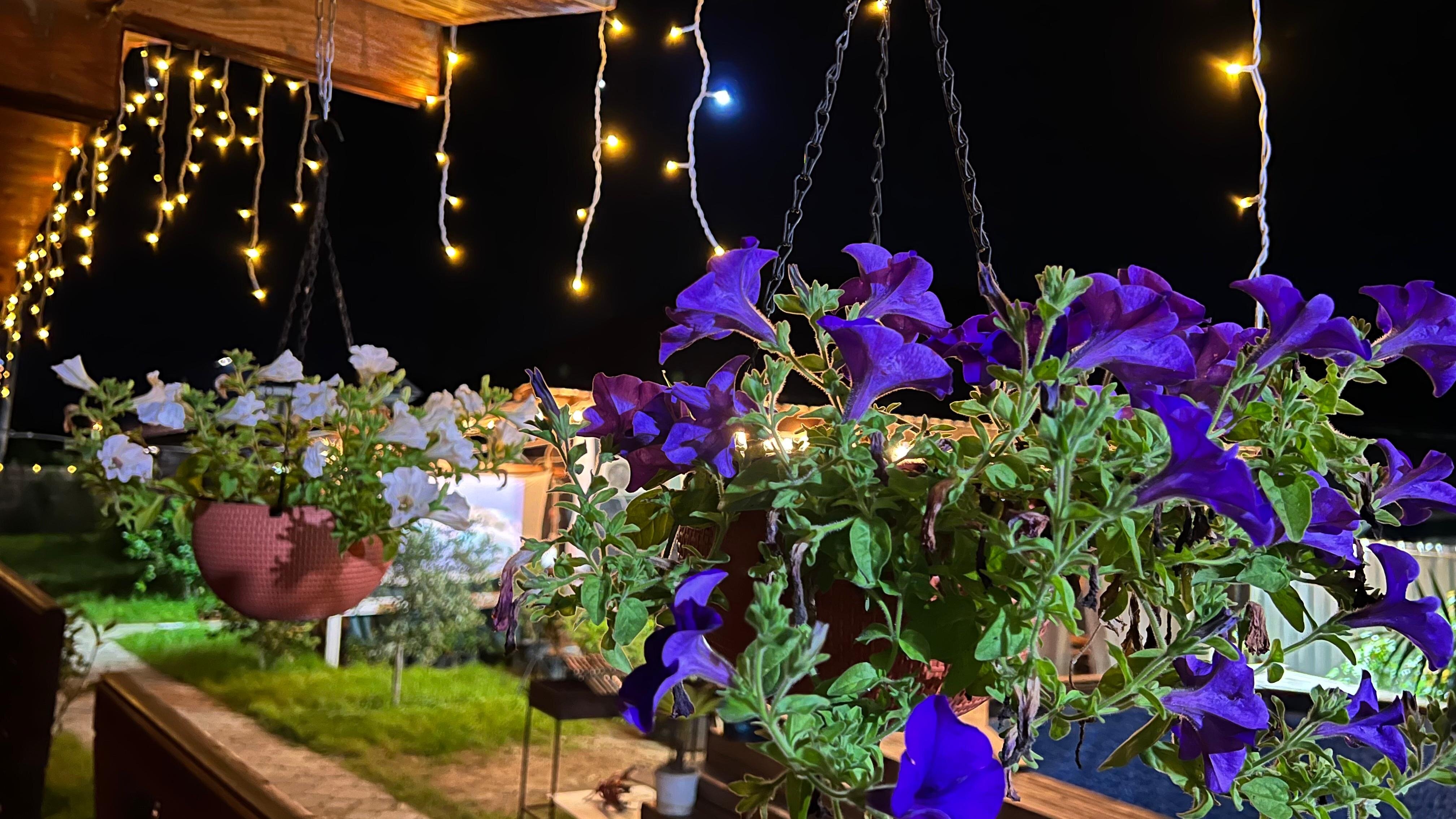 Фото 192517484496