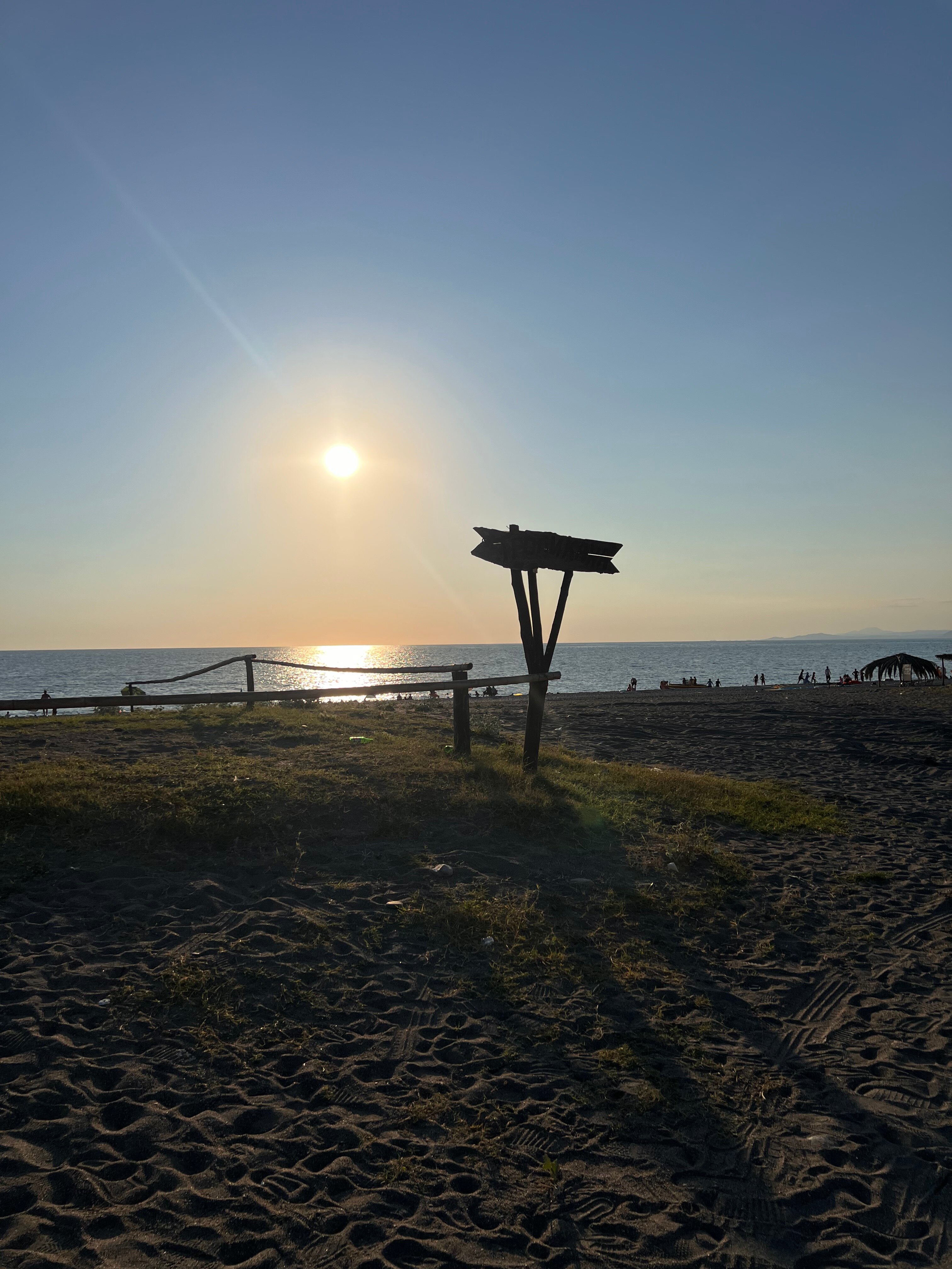 Фото Летний сад