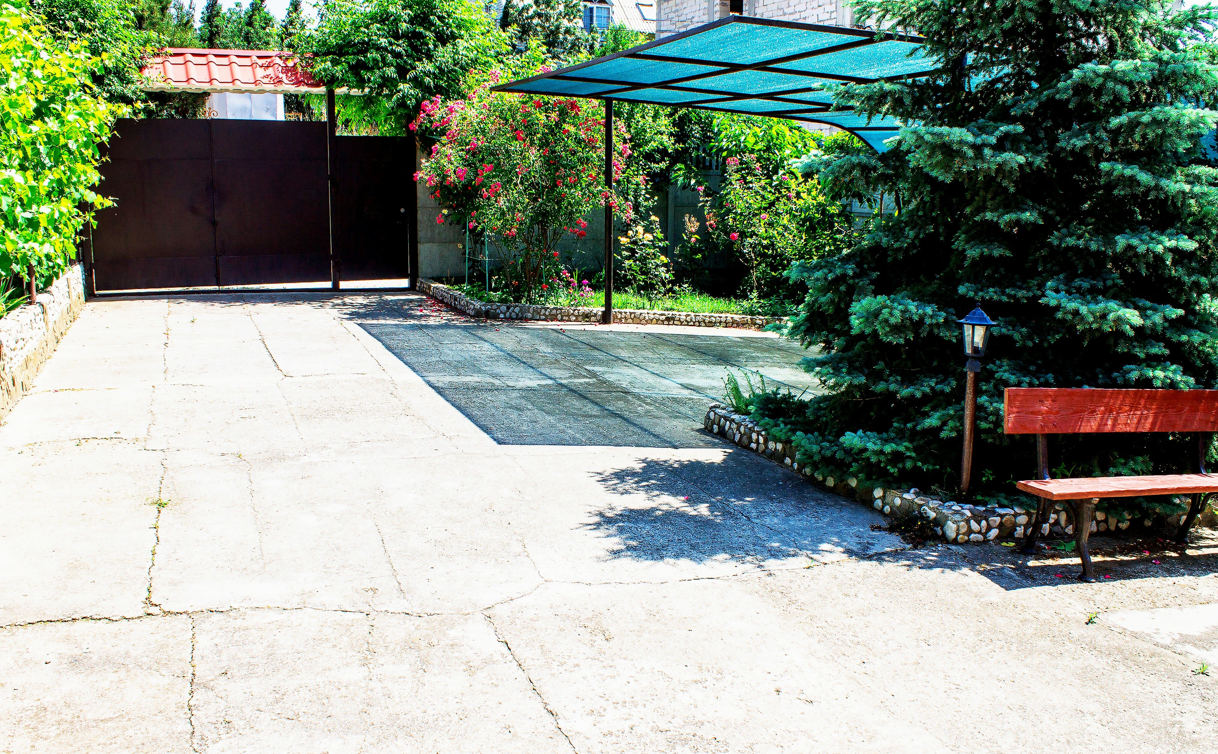 Фото Лето в Коктебеле