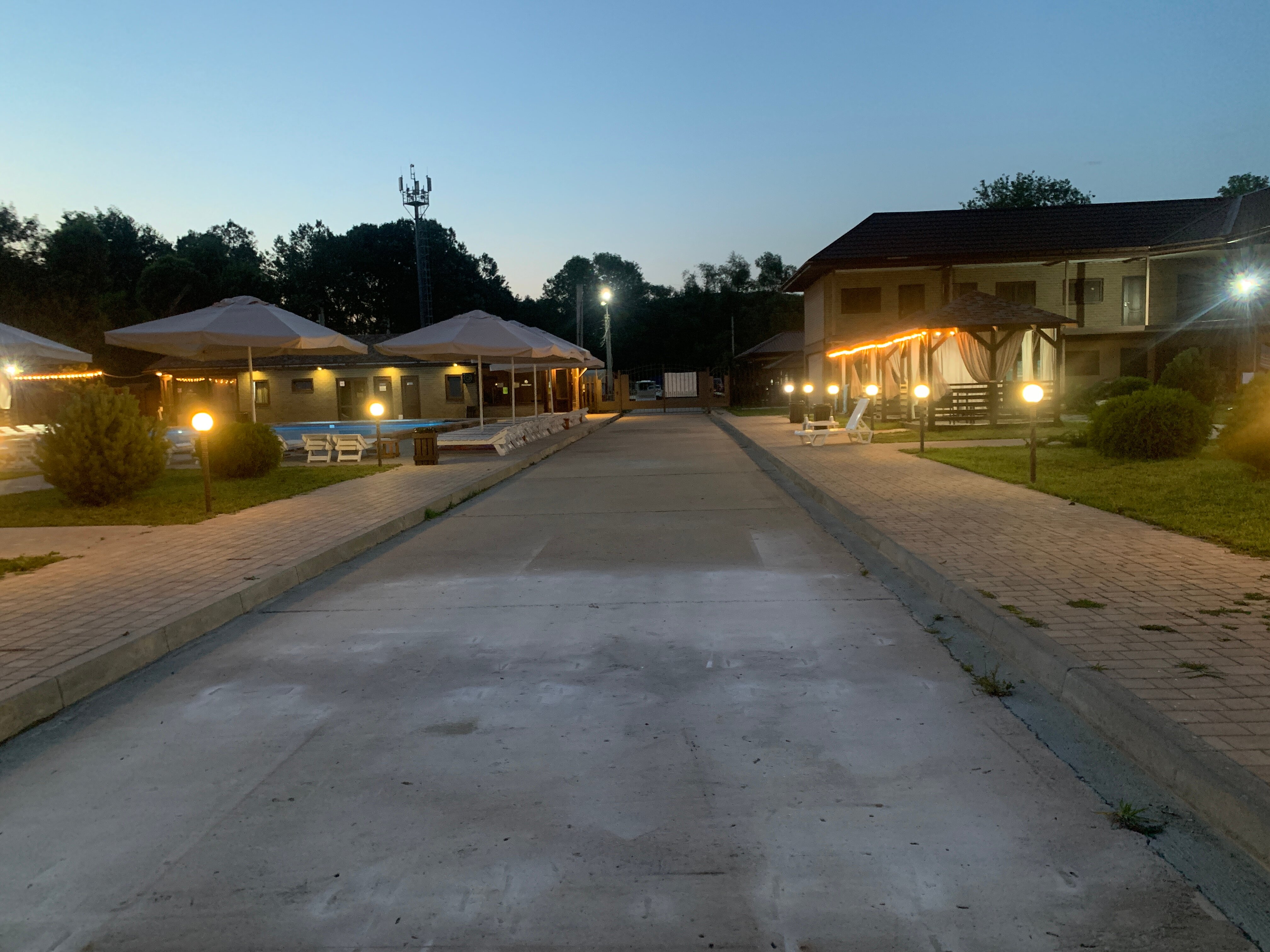 Фото Кипарис