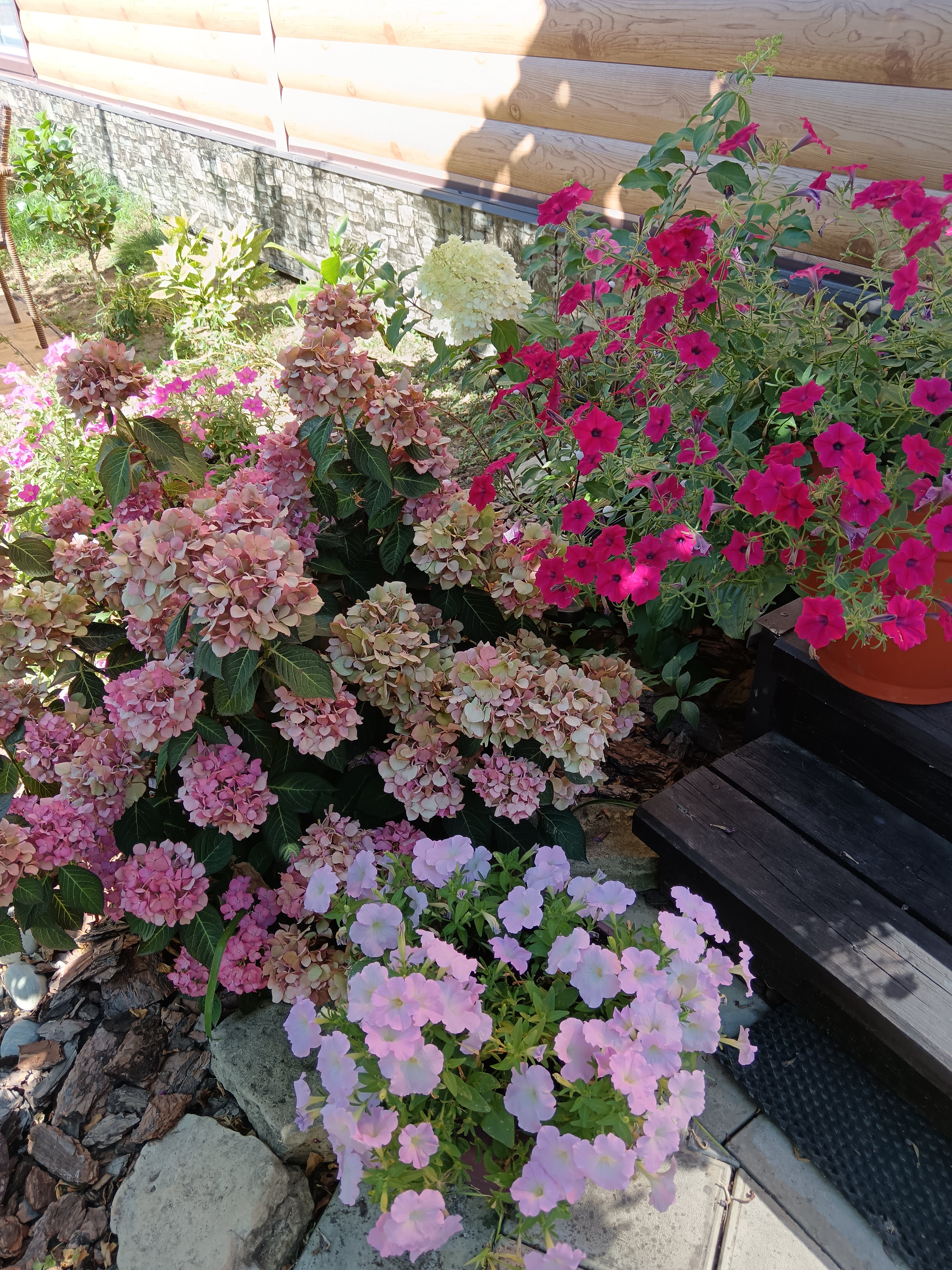 Фото Павловская усадьба