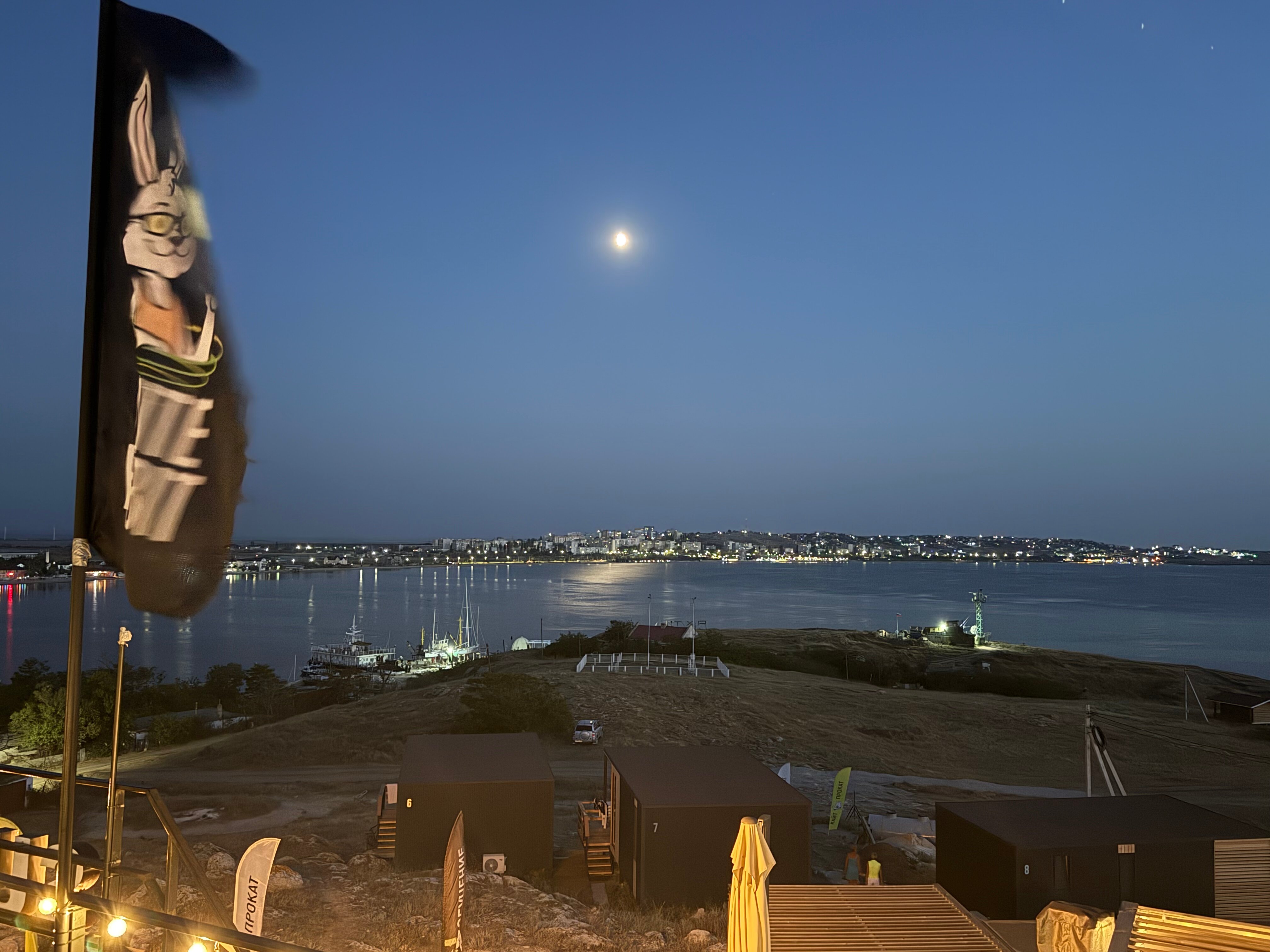 Фото Белый кролик