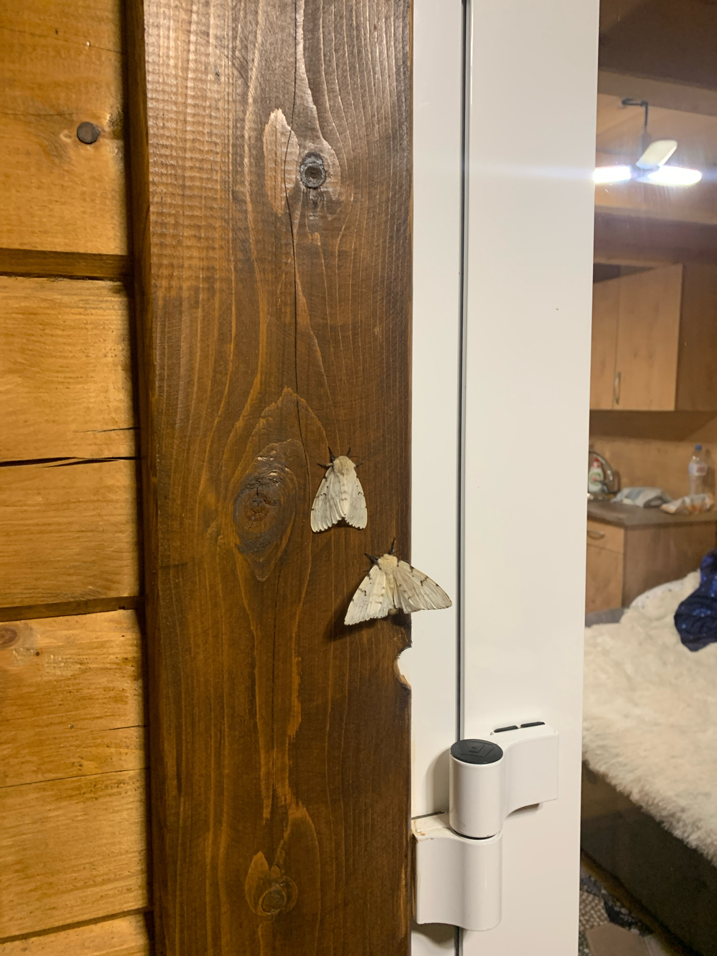 Фото Усадьба Крассула