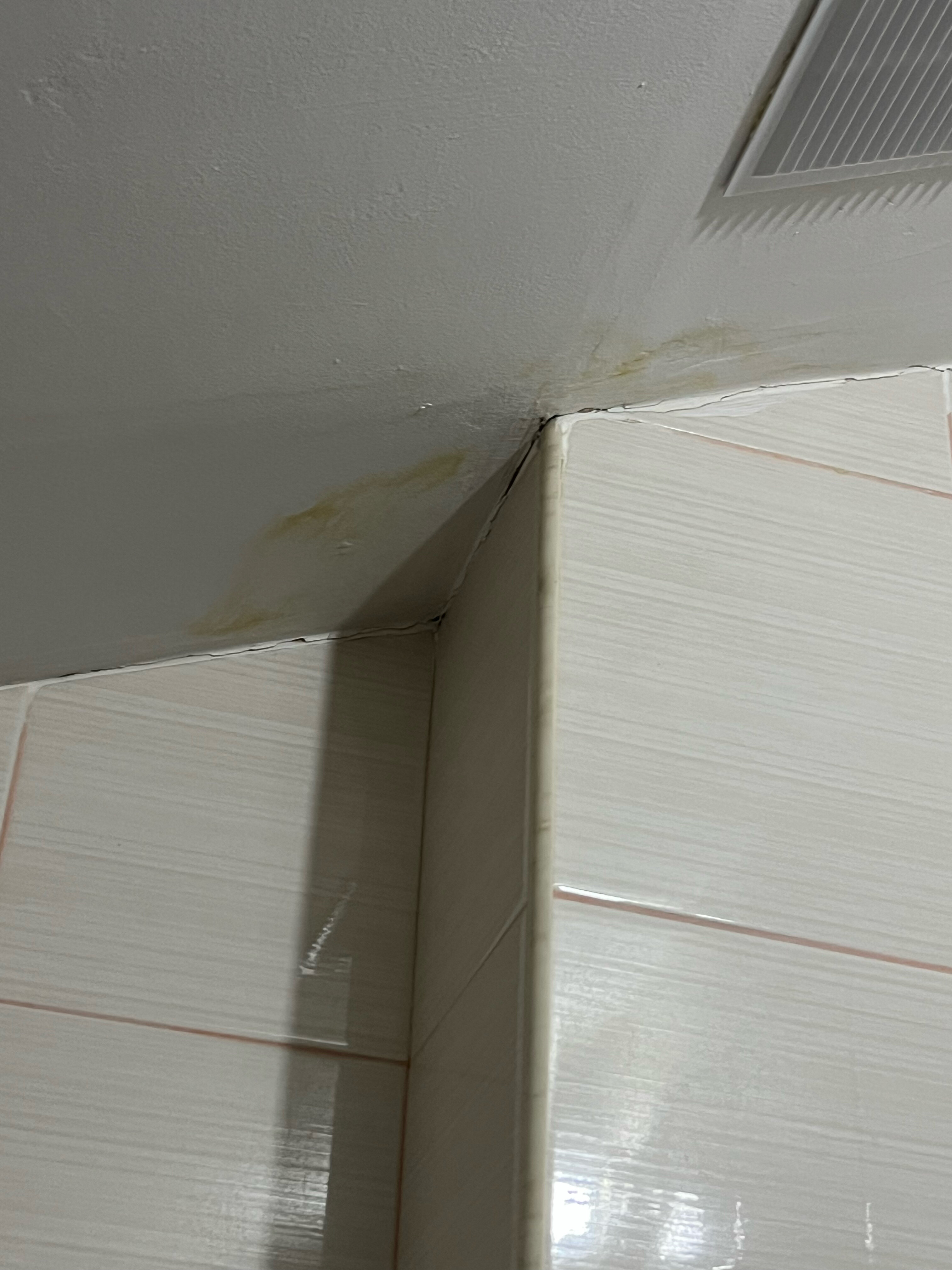 Фото Абрикос