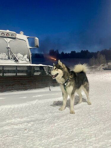 Гостиница Норд Стар в Мурманске