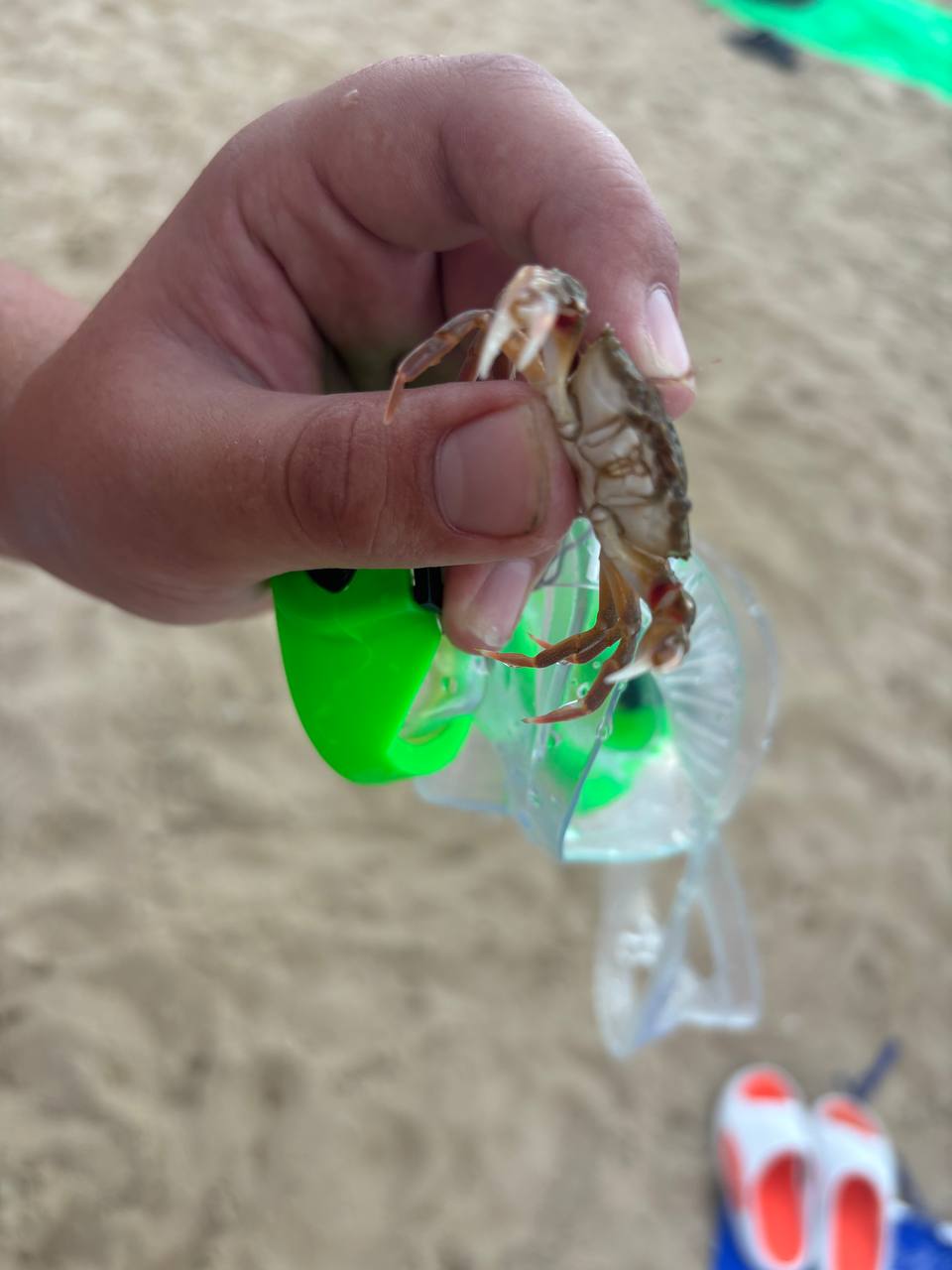 Фото Гостевой дом у Любы