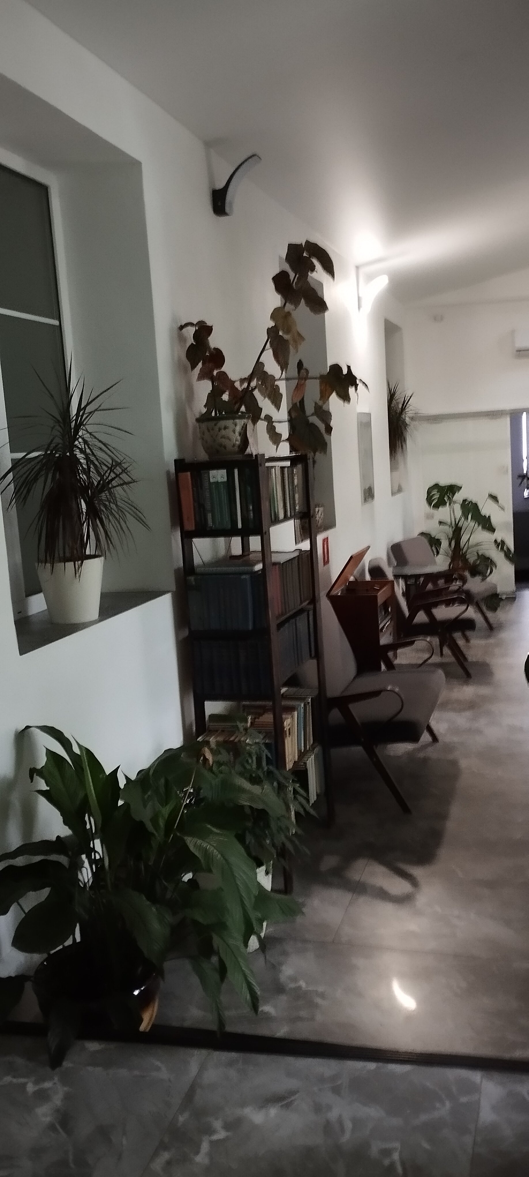 Фото Кристайл