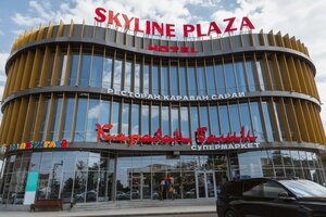 Гостиница Skyline Plaza