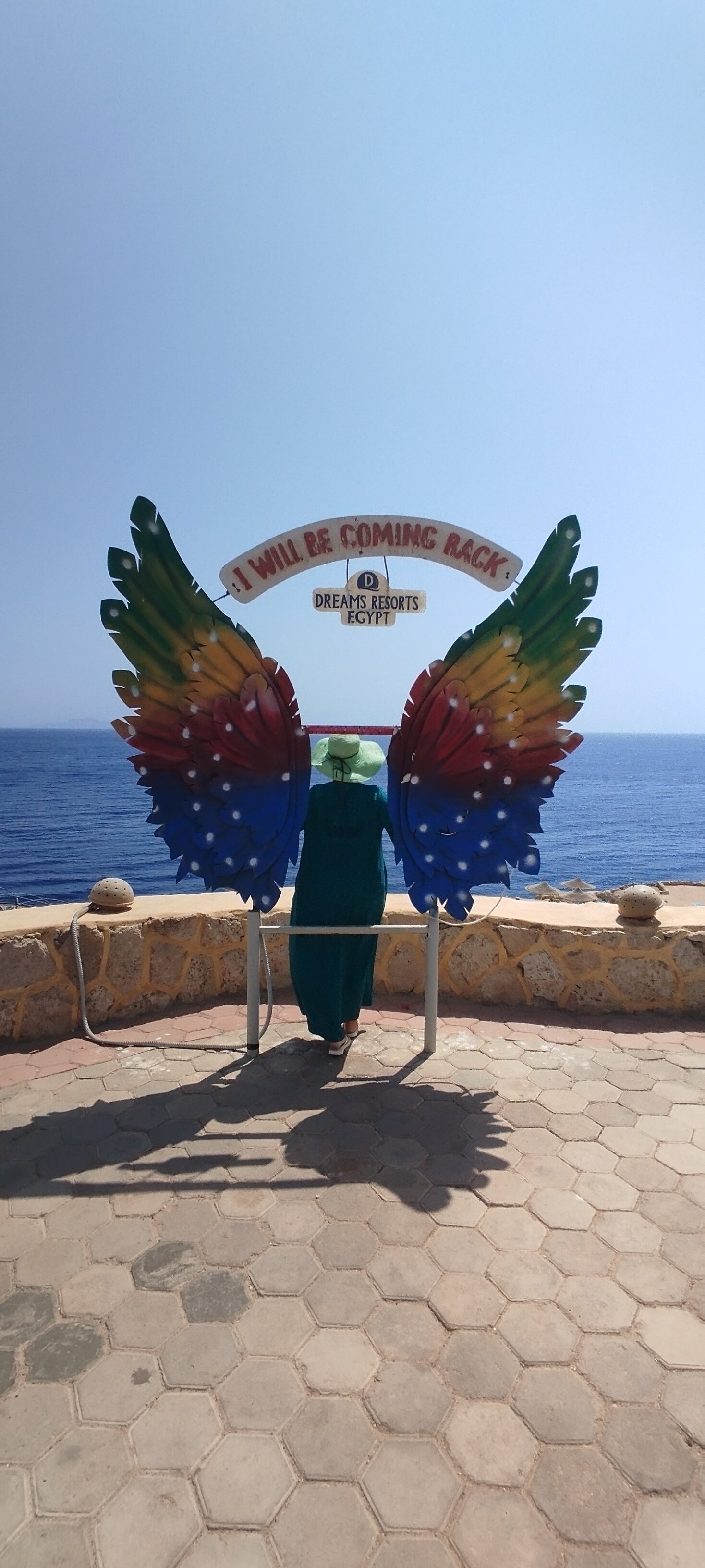 Фото Dreams Vacation